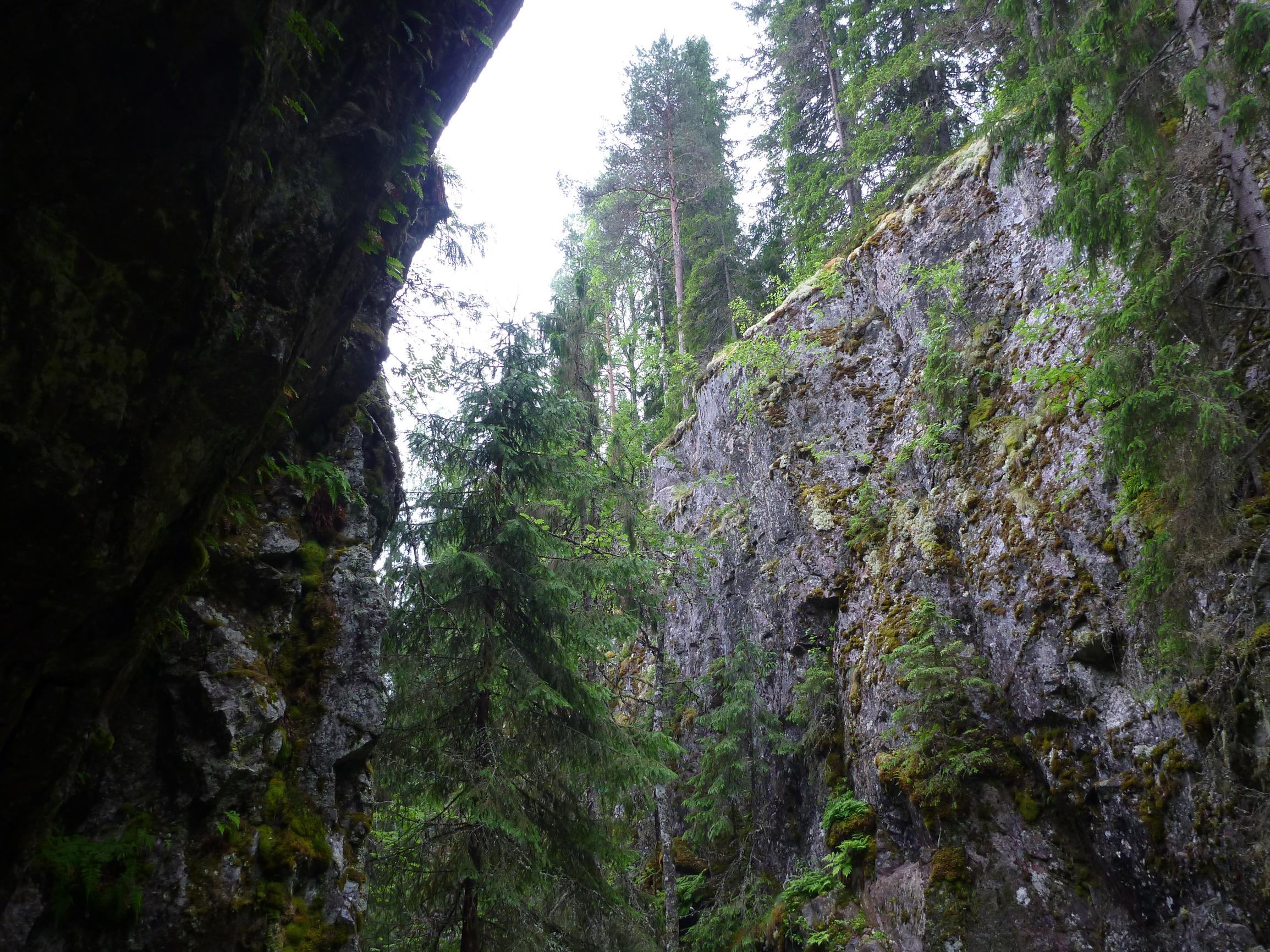 [Image] Laukaan Hitonhauta on Keski-Suomen tunnetuimmista rotkoista.