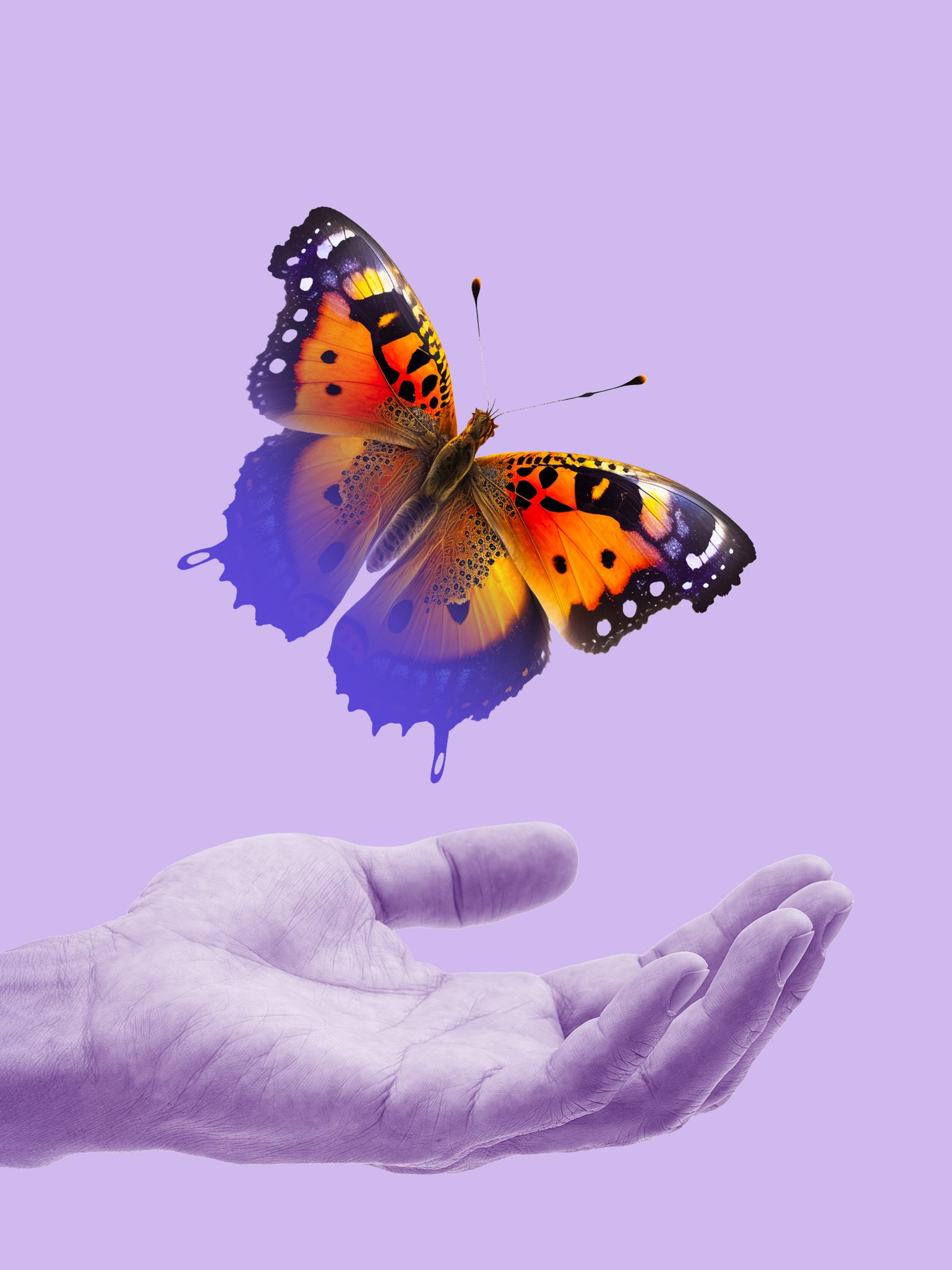 Ei saa elvyttää? Jopa 90 prosenttia elvytysyrityksistä päättyy kuolemaan – Näin DNR-päätös suojelee potilasta 