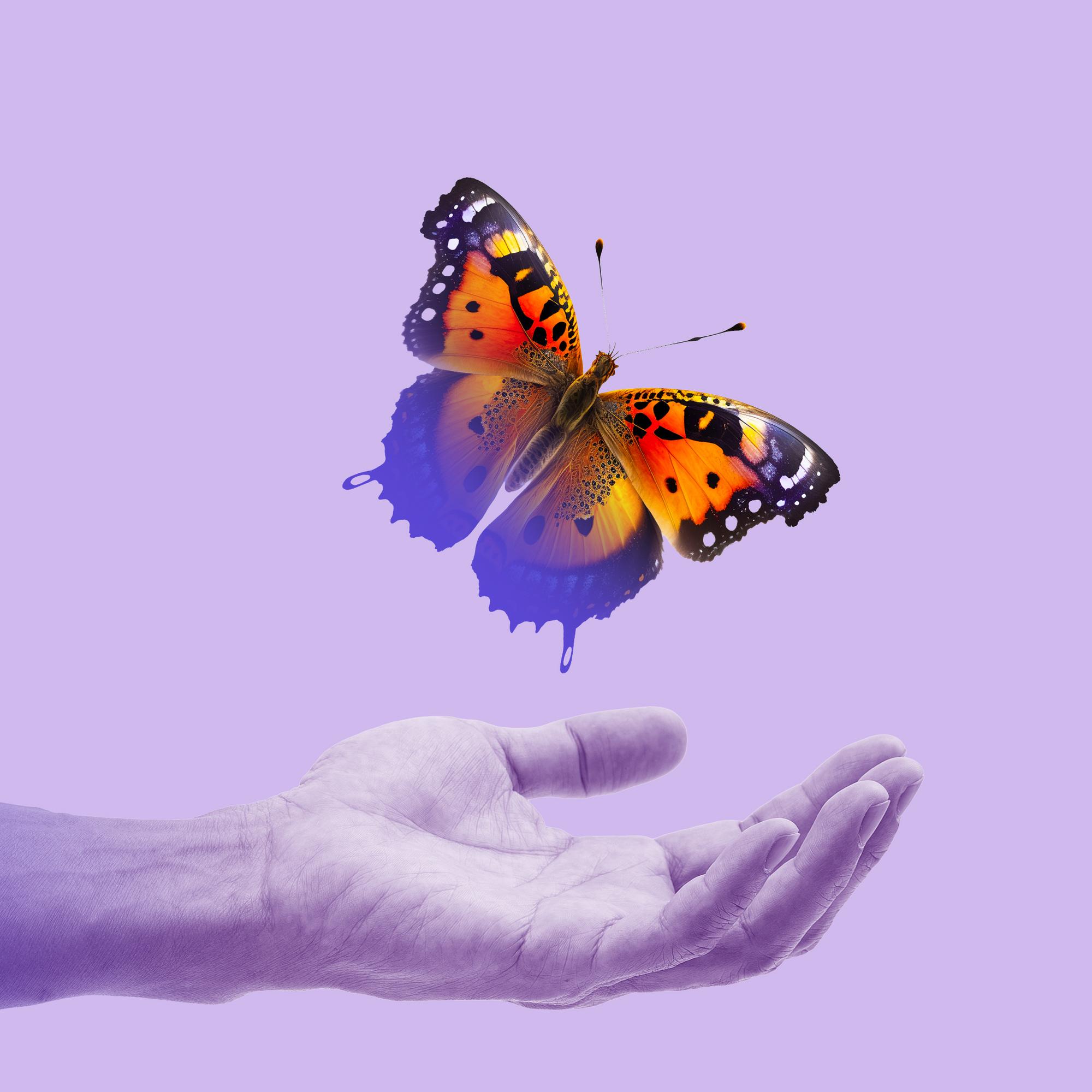 Ei saa elvyttää? Jopa 90 prosenttia elvytysyrityksistä päättyy kuolemaan – Näin DNR-päätös suojelee potilasta 