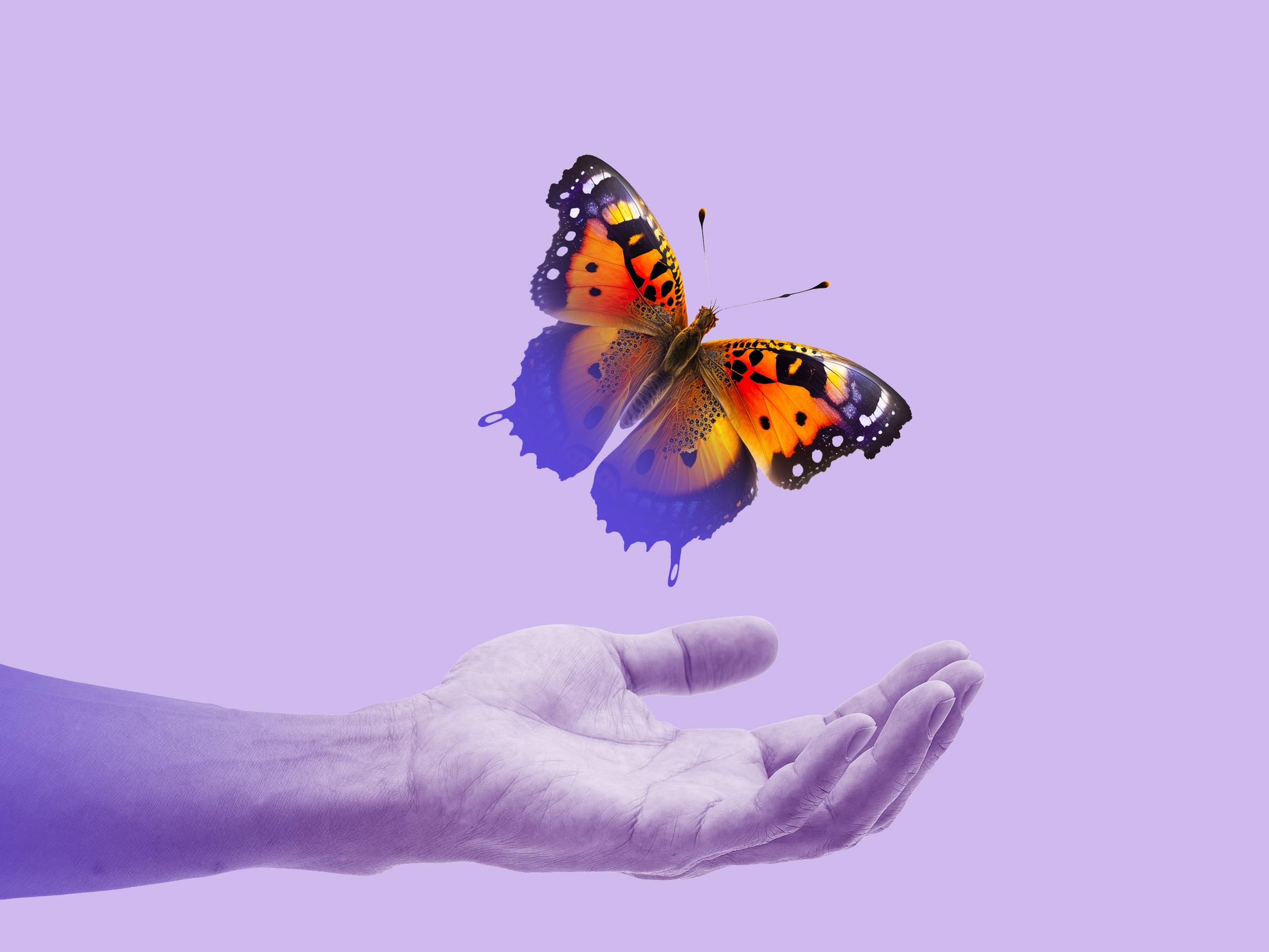 Ei saa elvyttää? Jopa 90 prosenttia elvytysyrityksistä päättyy kuolemaan – Näin DNR-päätös suojelee potilasta 