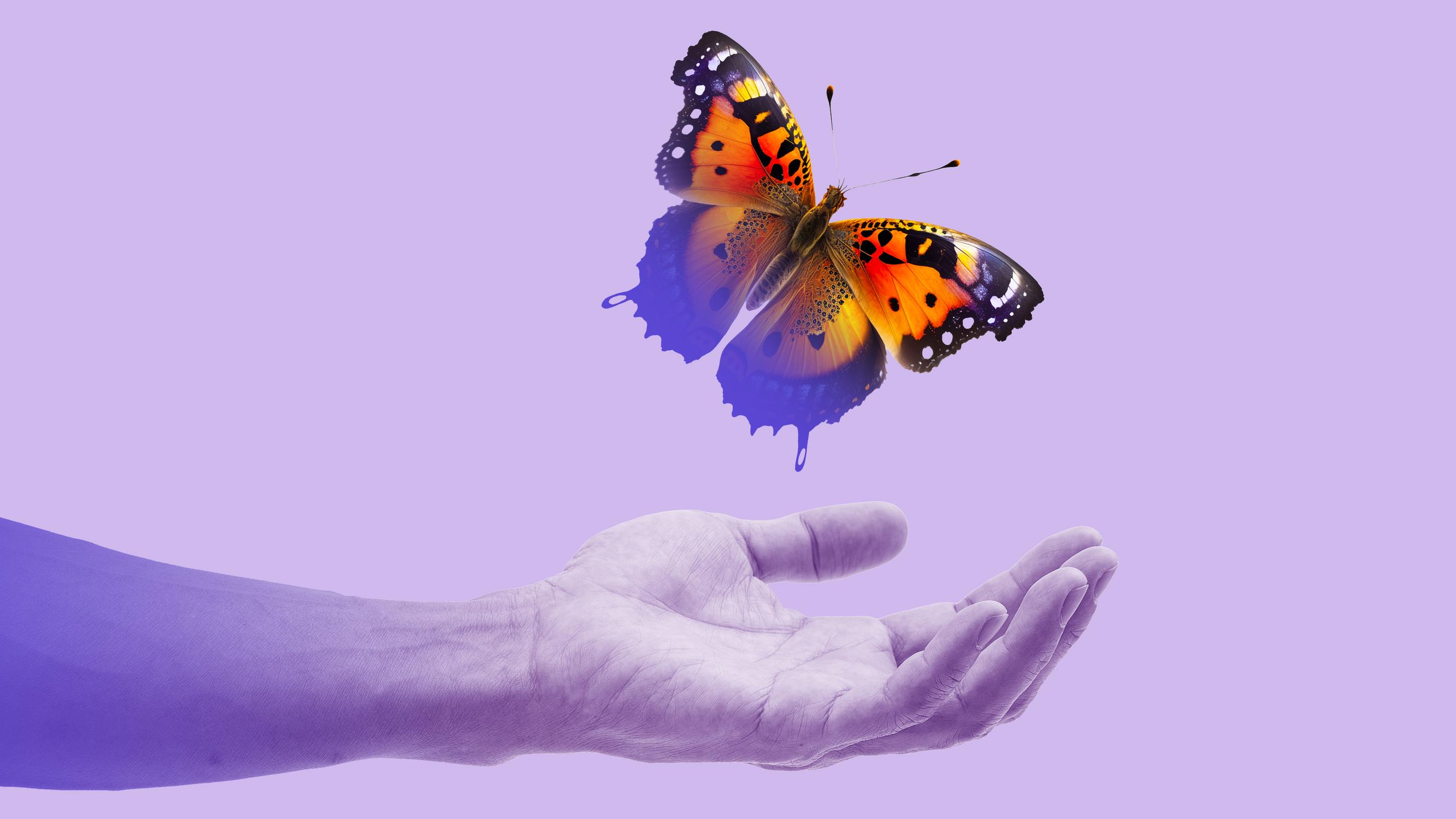 Ei saa elvyttää? Jopa 90 prosenttia elvytysyrityksistä päättyy kuolemaan – Näin DNR-päätös suojelee potilasta 