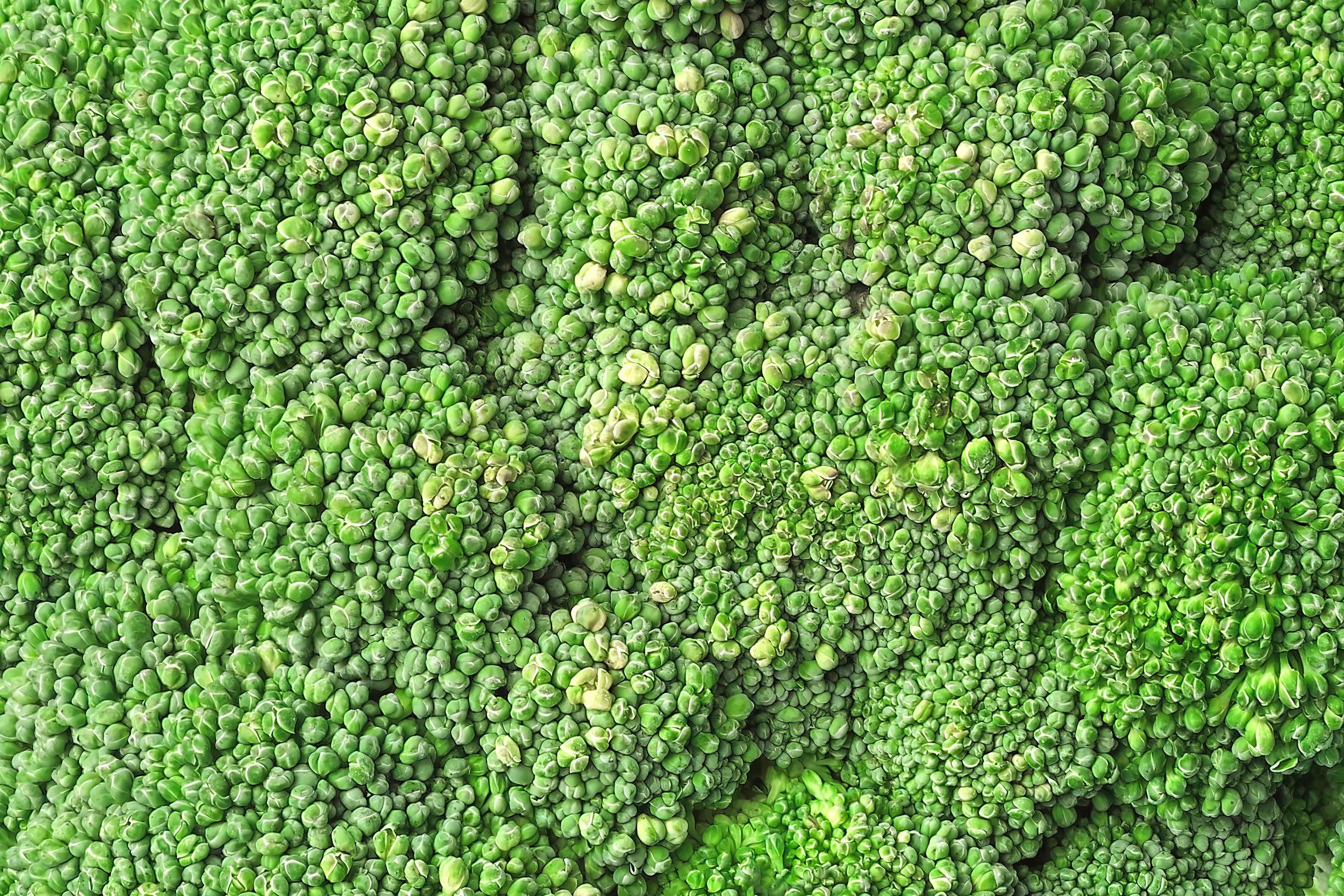 Parsakaali On Terveyspommi N in Saat Parhaat Hy dyt Apu Terveys parsakaali-on-terveyspommi-n-in-saat-parhaat-hy-dyt-apu-terveys