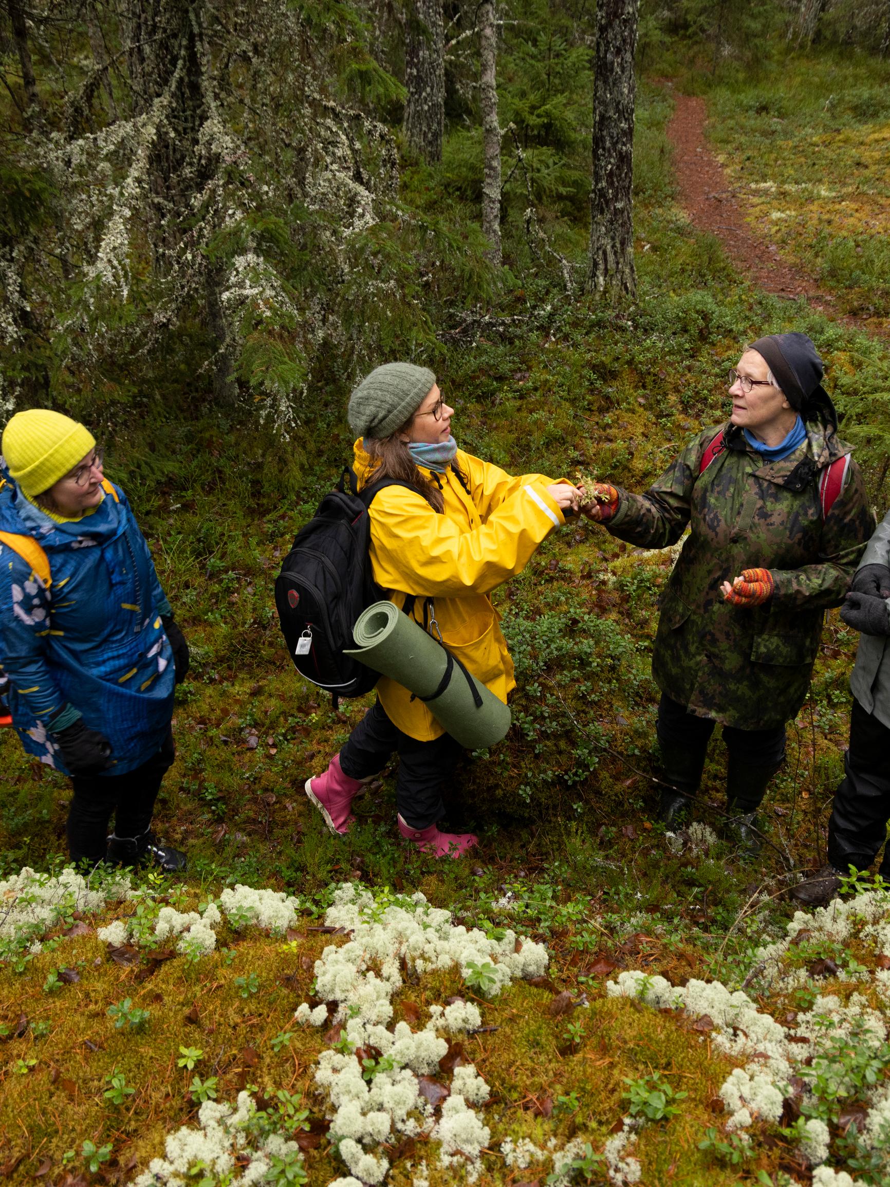 ”Mitä jos oma lähimetsä katoaa ja muuttuu vessapaperiksi?” – Turussa Metsäryhmä haluaa estää vanhan metsän kaatamisen talojen tieltä