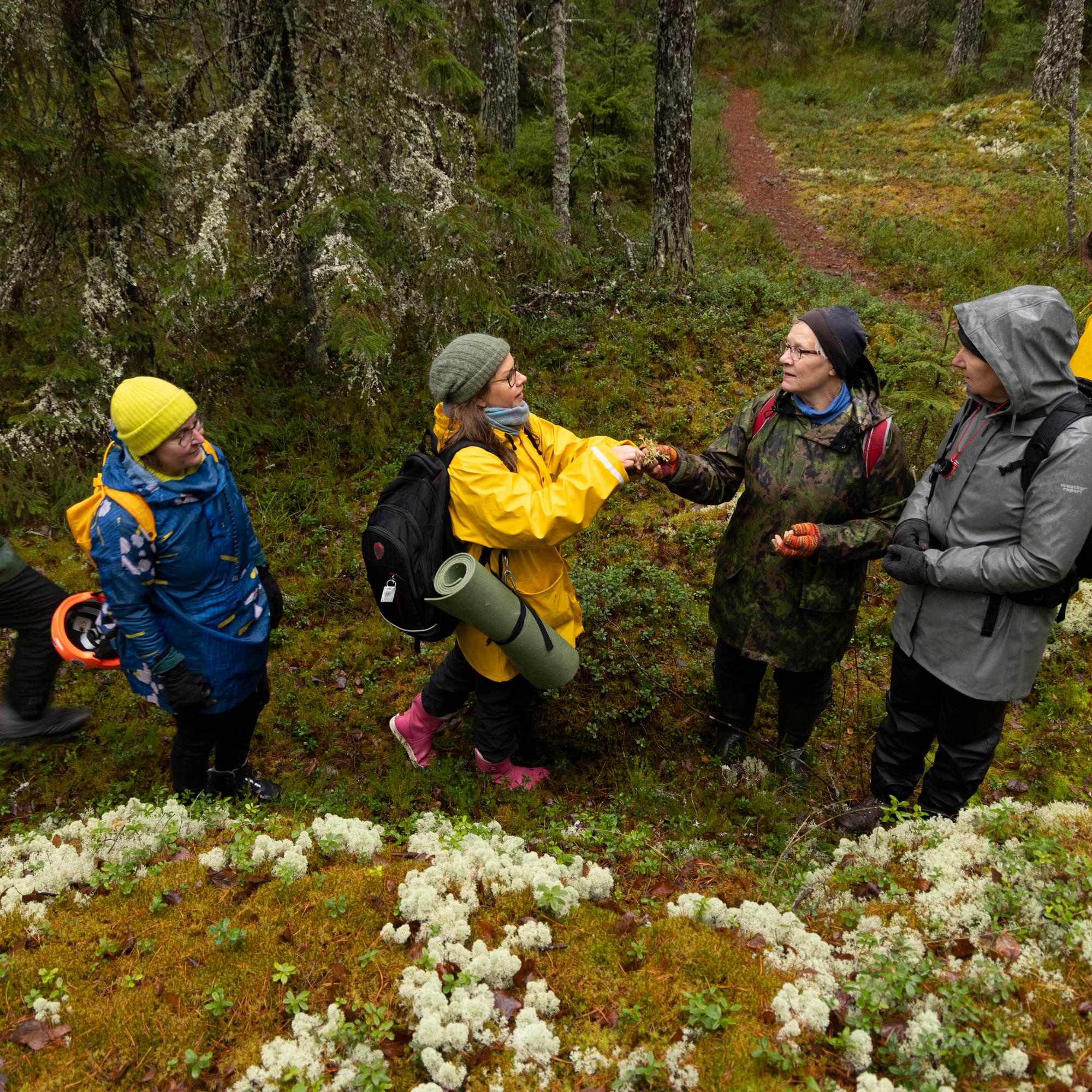 ”Mitä jos oma lähimetsä katoaa ja muuttuu vessapaperiksi?” – Turussa Metsäryhmä haluaa estää vanhan metsän kaatamisen talojen tieltä