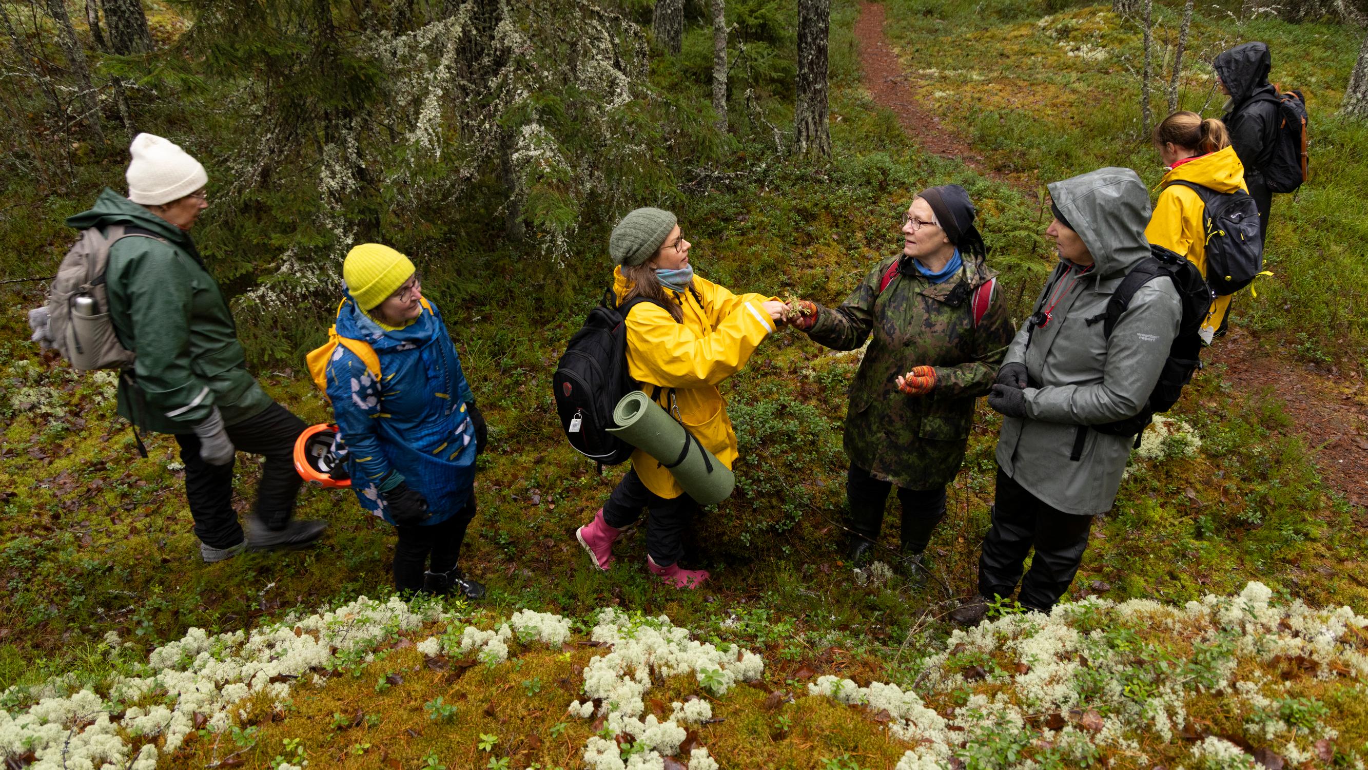 ”Mitä jos oma lähimetsä katoaa ja muuttuu vessapaperiksi?” – Turussa Metsäryhmä haluaa estää vanhan metsän kaatamisen talojen tieltä