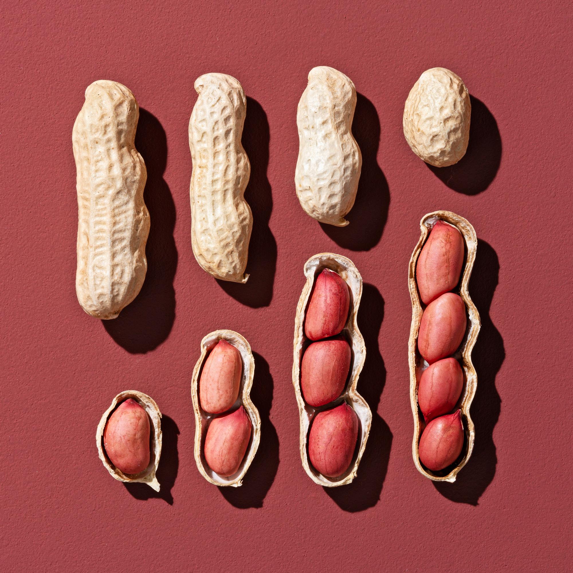 Tunnetko perinteisen joulunaposteltavan? – Maapähkinä pärjää ravintoarvoissa oikeille pähkinöille   