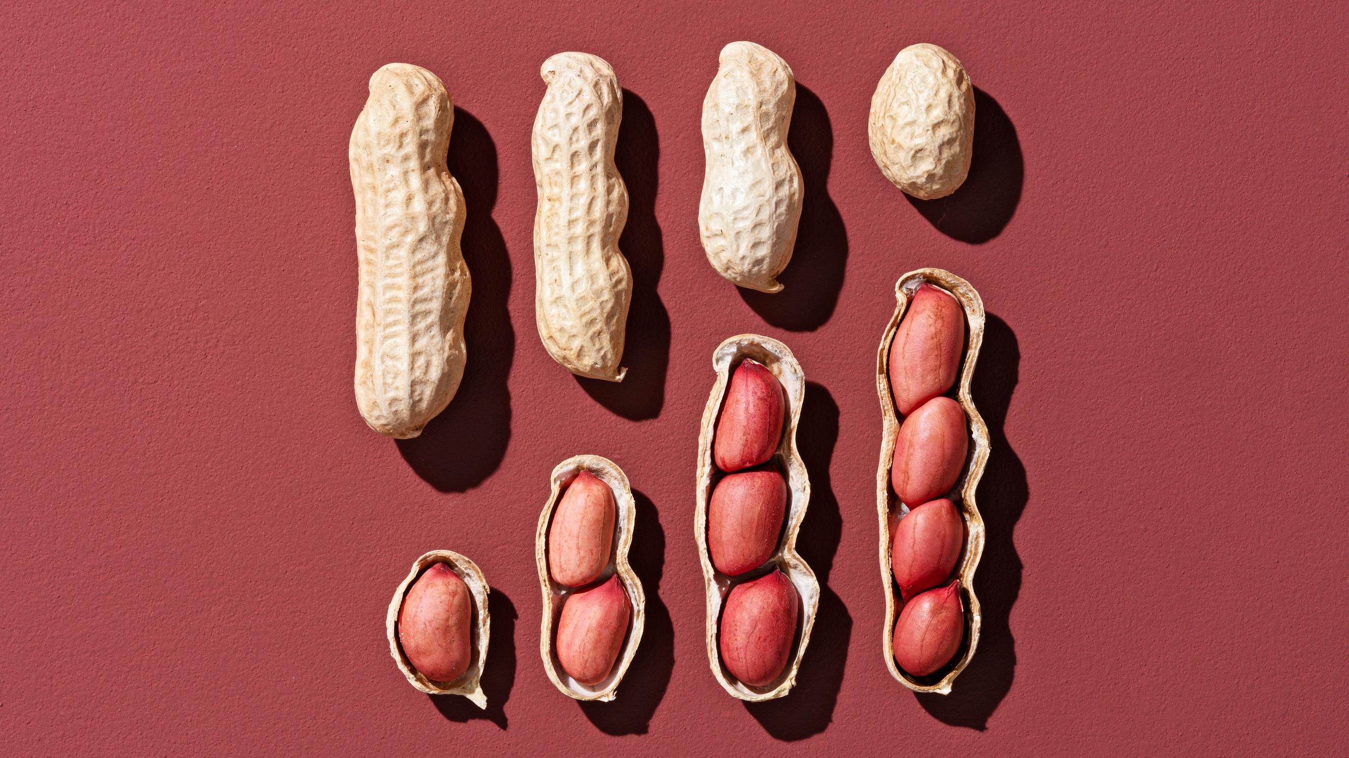 Tunnetko perinteisen joulunaposteltavan? – Maapähkinä pärjää ravintoarvoissa oikeille pähkinöille   