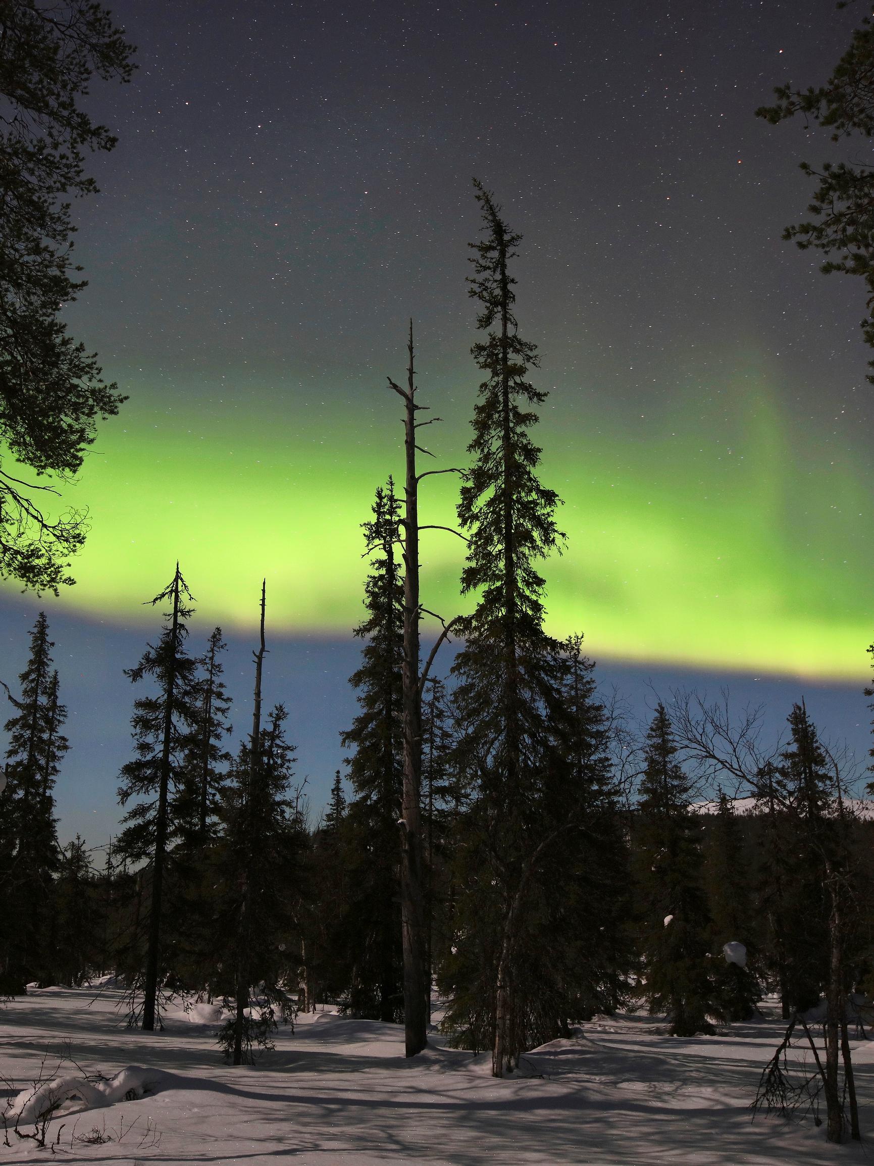 Kun hiihtäjä nousee tunturiin Sallassa, hän näkee Venäjälle – Kylmyydestä kuuluisassa kunnassa on vielä aitoa erämaata