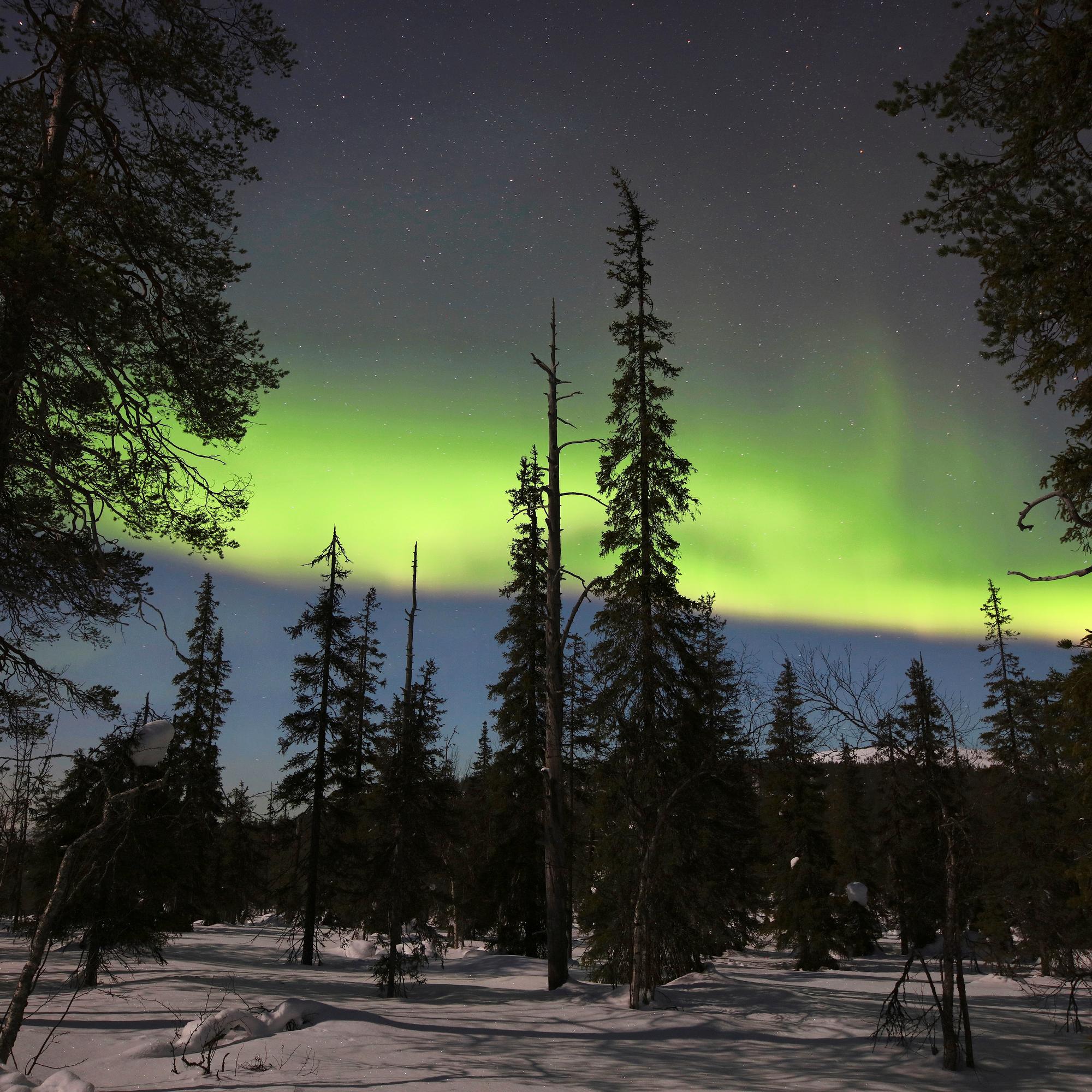 Kun hiihtäjä nousee tunturiin Sallassa, hän näkee Venäjälle – Kylmyydestä kuuluisassa kunnassa on vielä aitoa erämaata