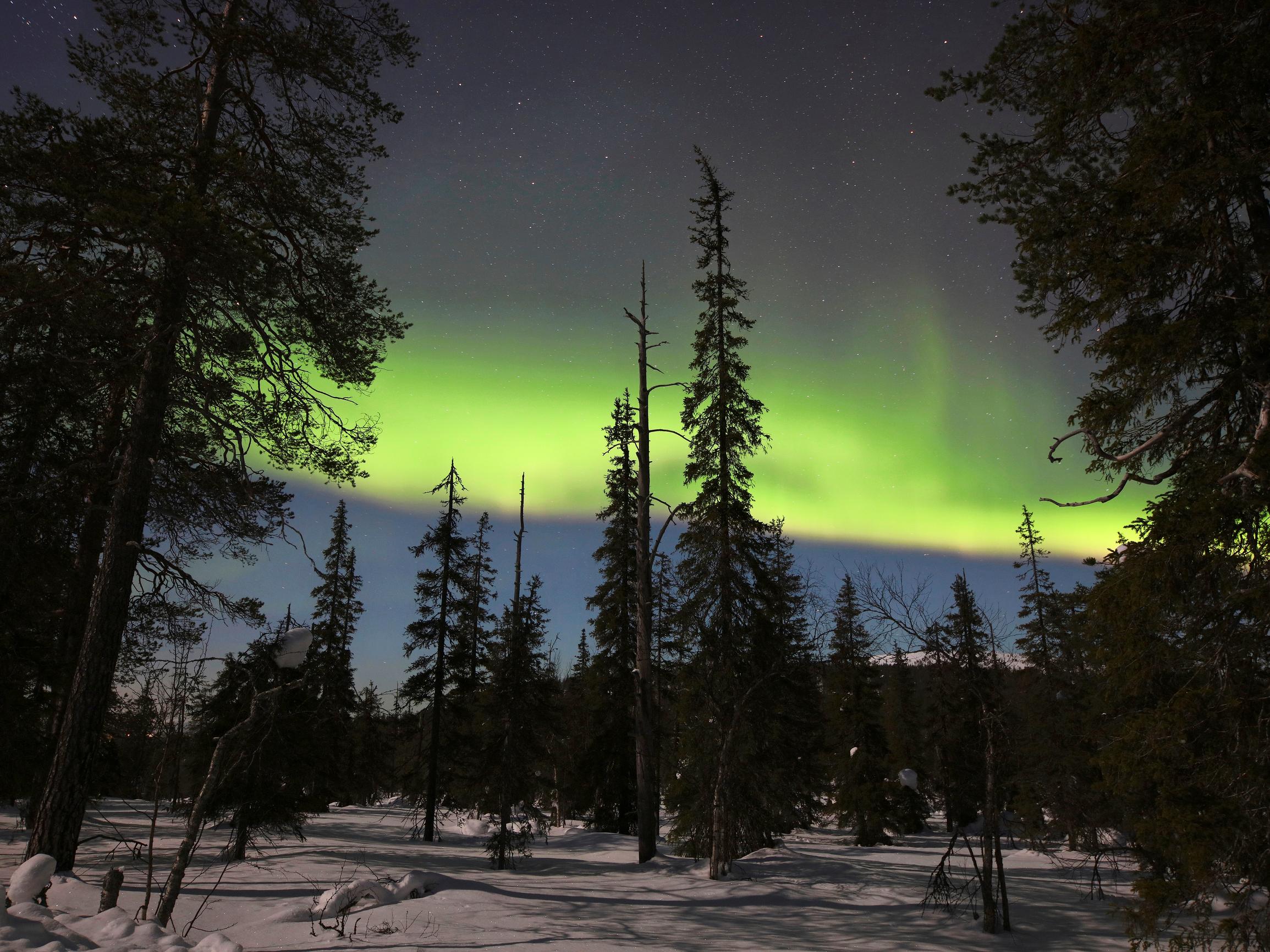 Kun hiihtäjä nousee tunturiin Sallassa, hän näkee Venäjälle – Kylmyydestä kuuluisassa kunnassa on vielä aitoa erämaata