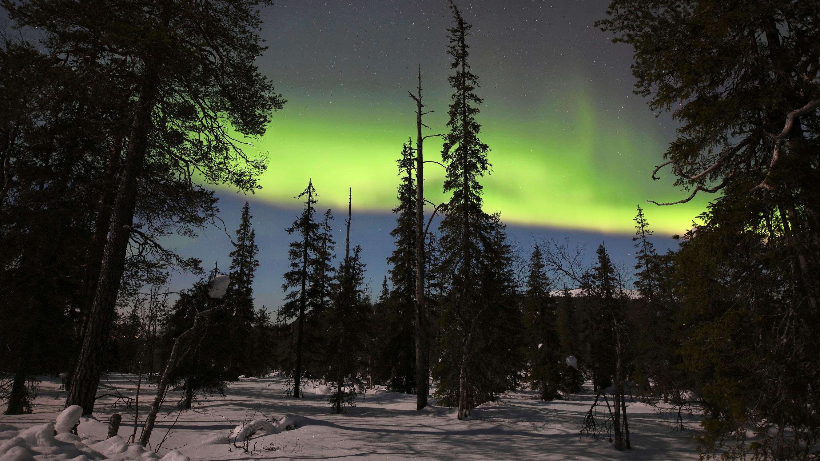 Kun hiihtäjä nousee tunturiin Sallassa, hän näkee Venäjälle – Kylmyydestä kuuluisassa kunnassa on vielä aitoa erämaata