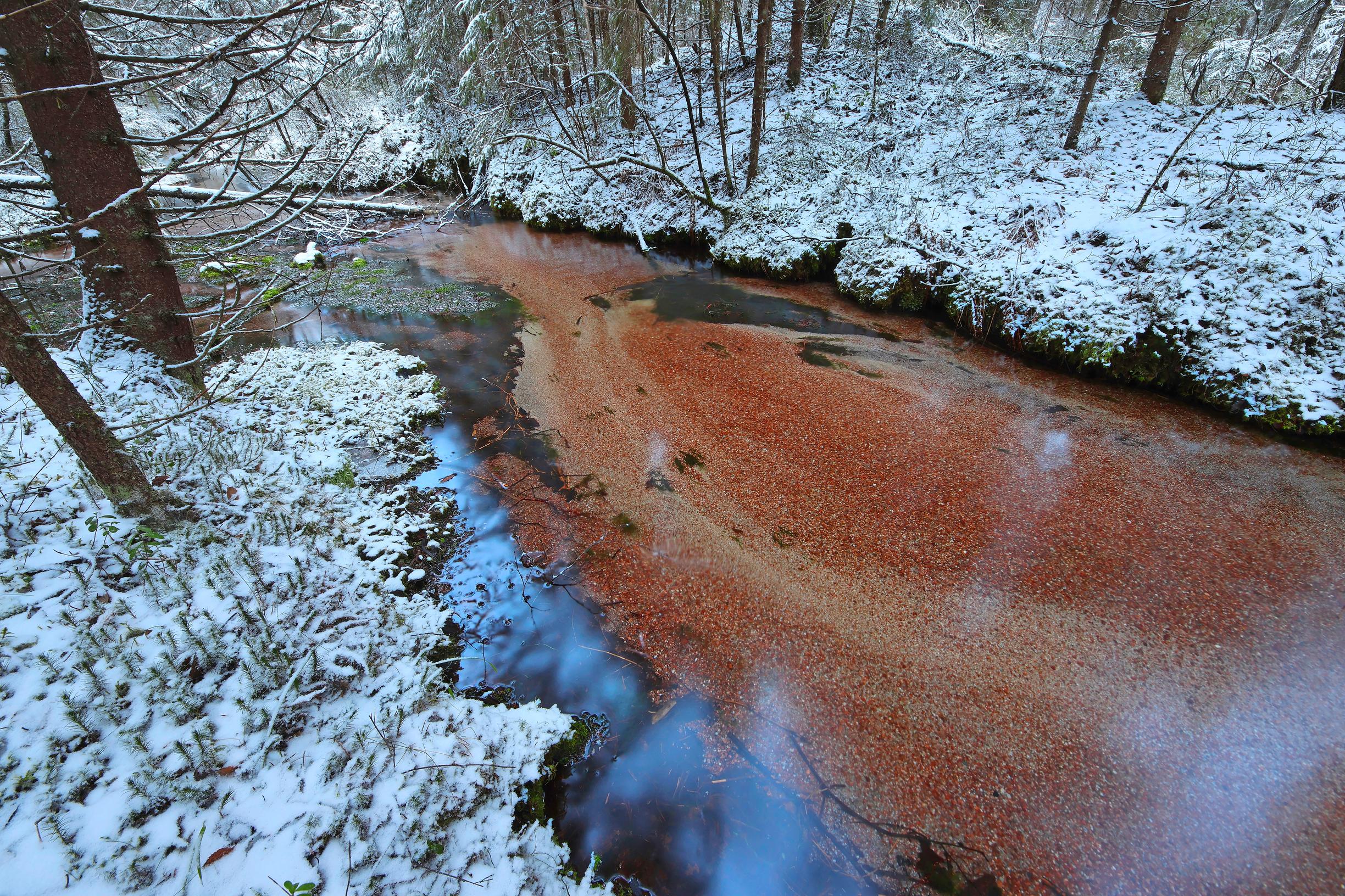 Lauhanvuoren rinteillä sataa paljon. Rinteiden alaosissa pohja­vesi tulee lähelle maanpintaa, ja siellä on kirkkaita lähdepuroja.