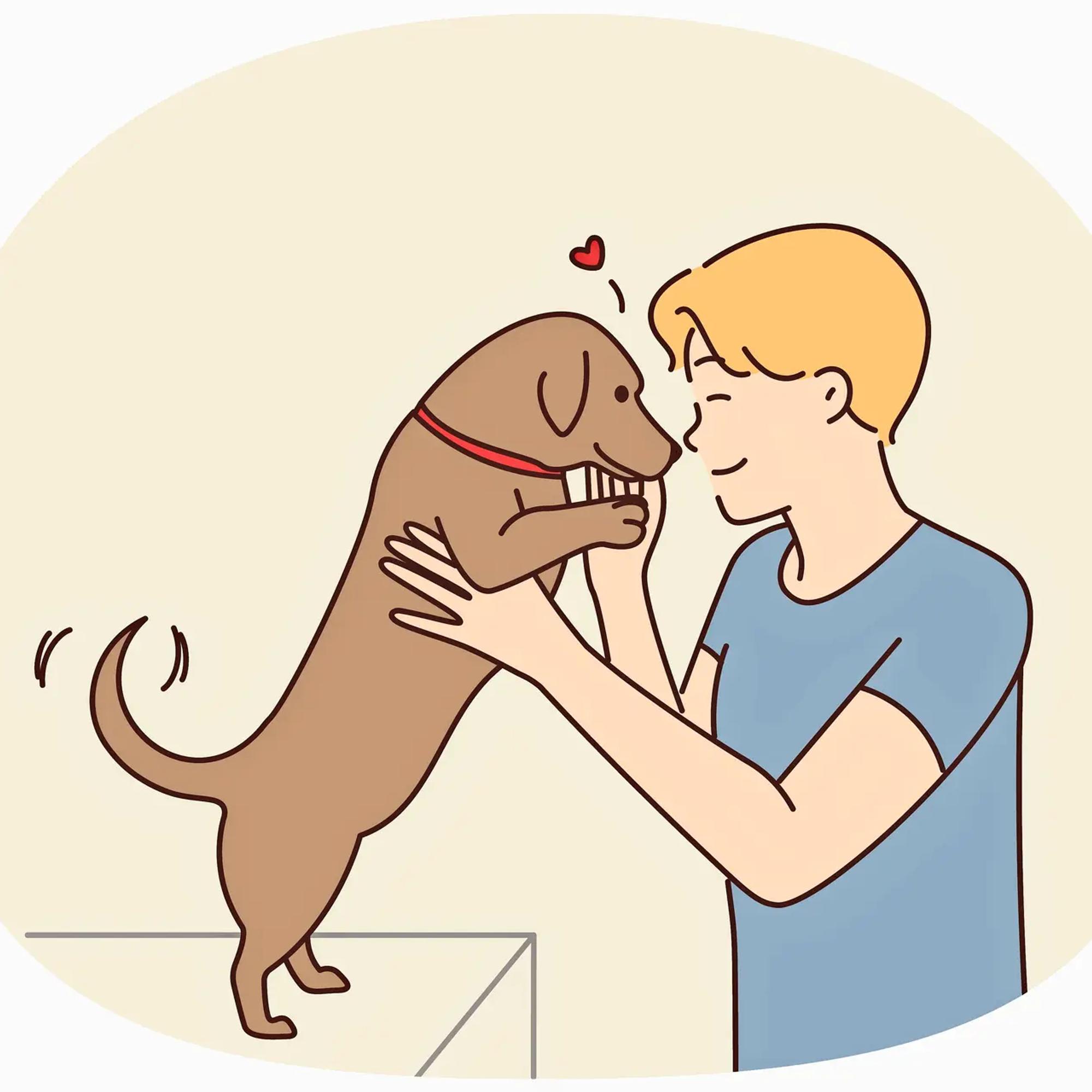 Voiko karvakaverin hankkia, jos perheessä on ollut allergiataipumusta? – Pippa Laukka kertoo, milloin lemmikistä on terveyshyötyä