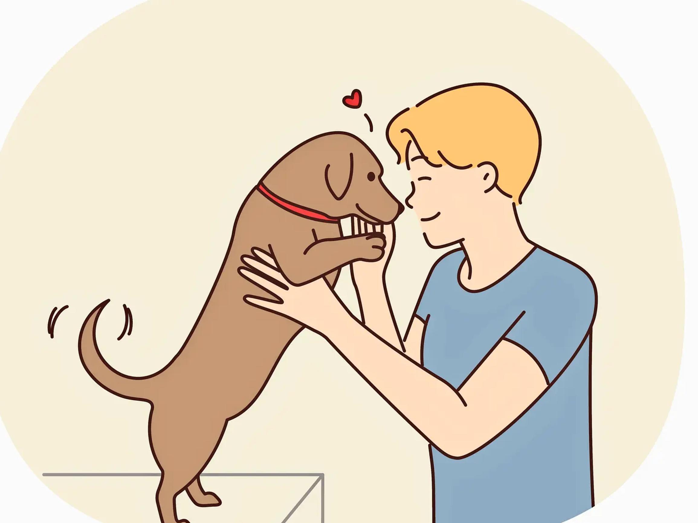 Voiko karvakaverin hankkia, jos perheessä on ollut allergiataipumusta? – Pippa Laukka kertoo, milloin lemmikistä on terveyshyötyä