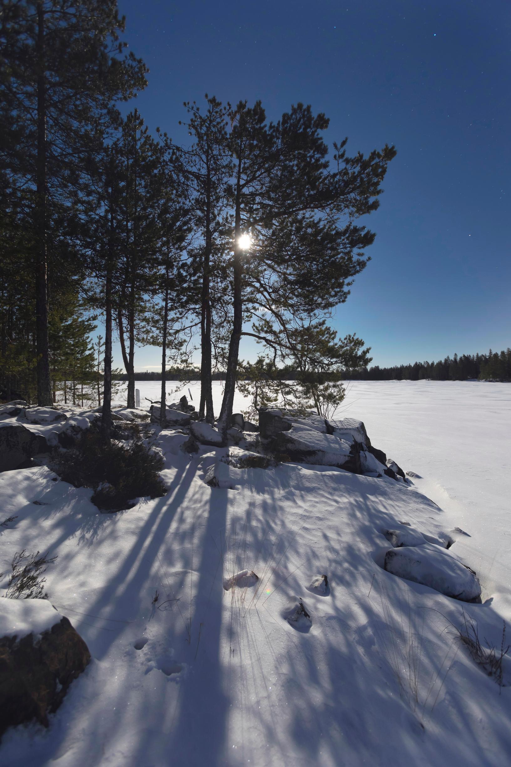 [Image] Talvella kuu valaisee muuten pimeitä öitä.