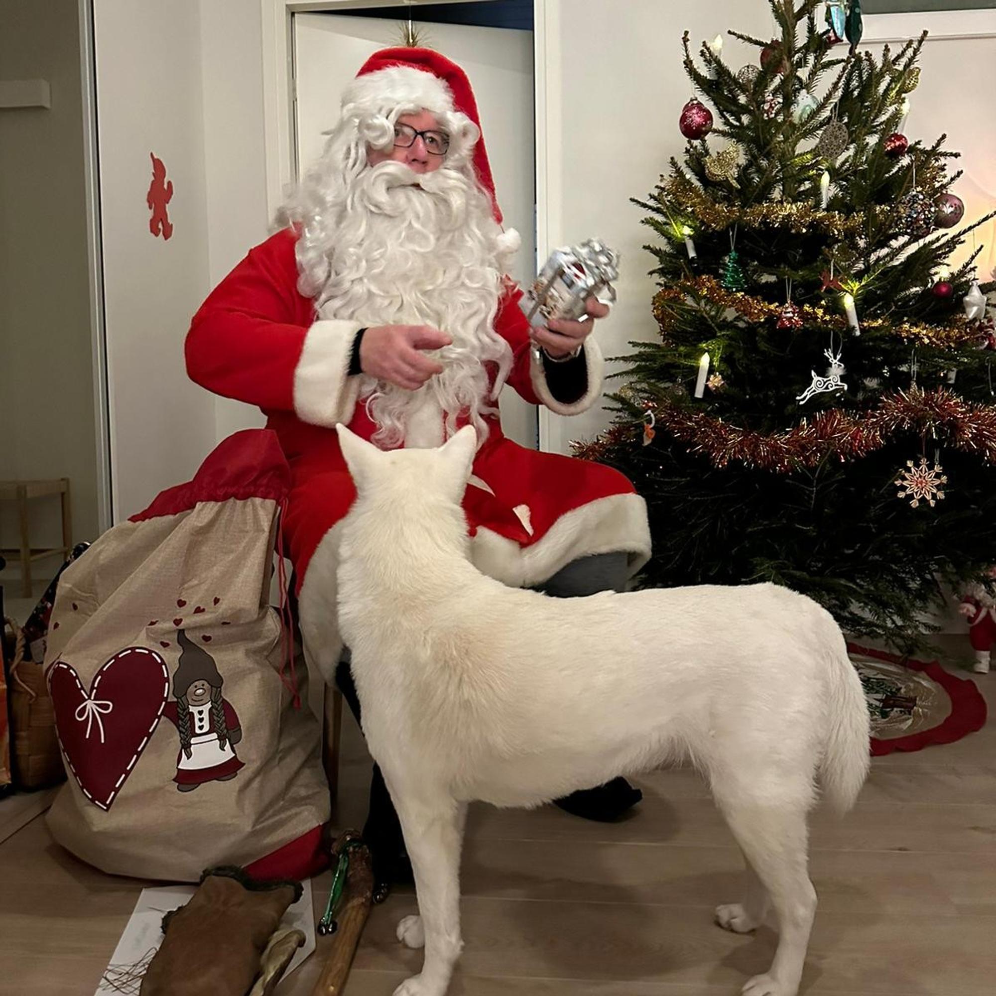 Hämeenlinnalaisen superjoulupukin Pertin, 65, apuna ovat kuski, excel-taulukko ja vuosien kokemus: ”Nakit eivät sotke pukin partaa”