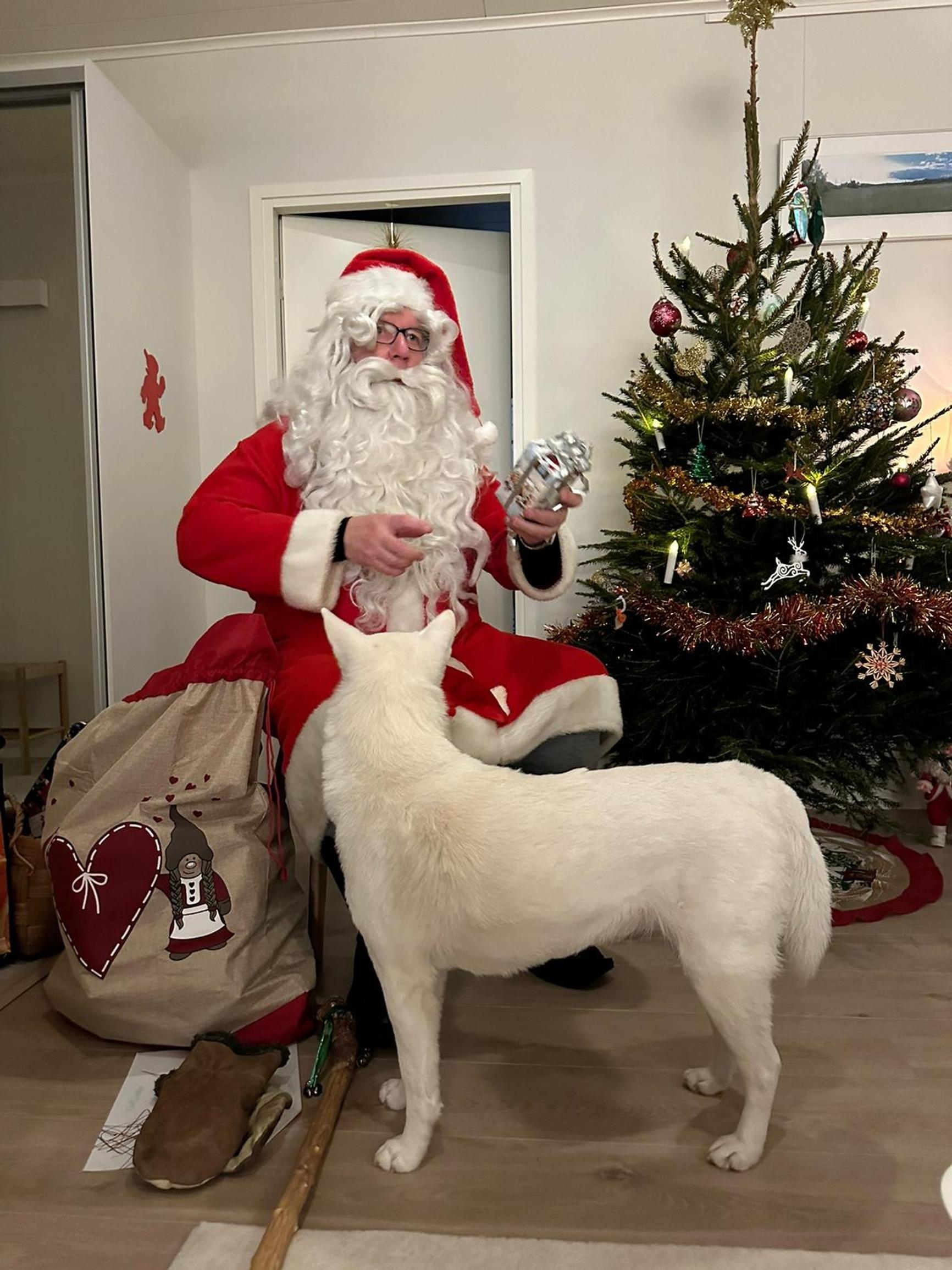 Hämeenlinnalaisen superjoulupukin Pertin, 65, apuna ovat kuski, excel-taulukko ja vuosien kokemus: ”Nakit eivät sotke pukin partaa”