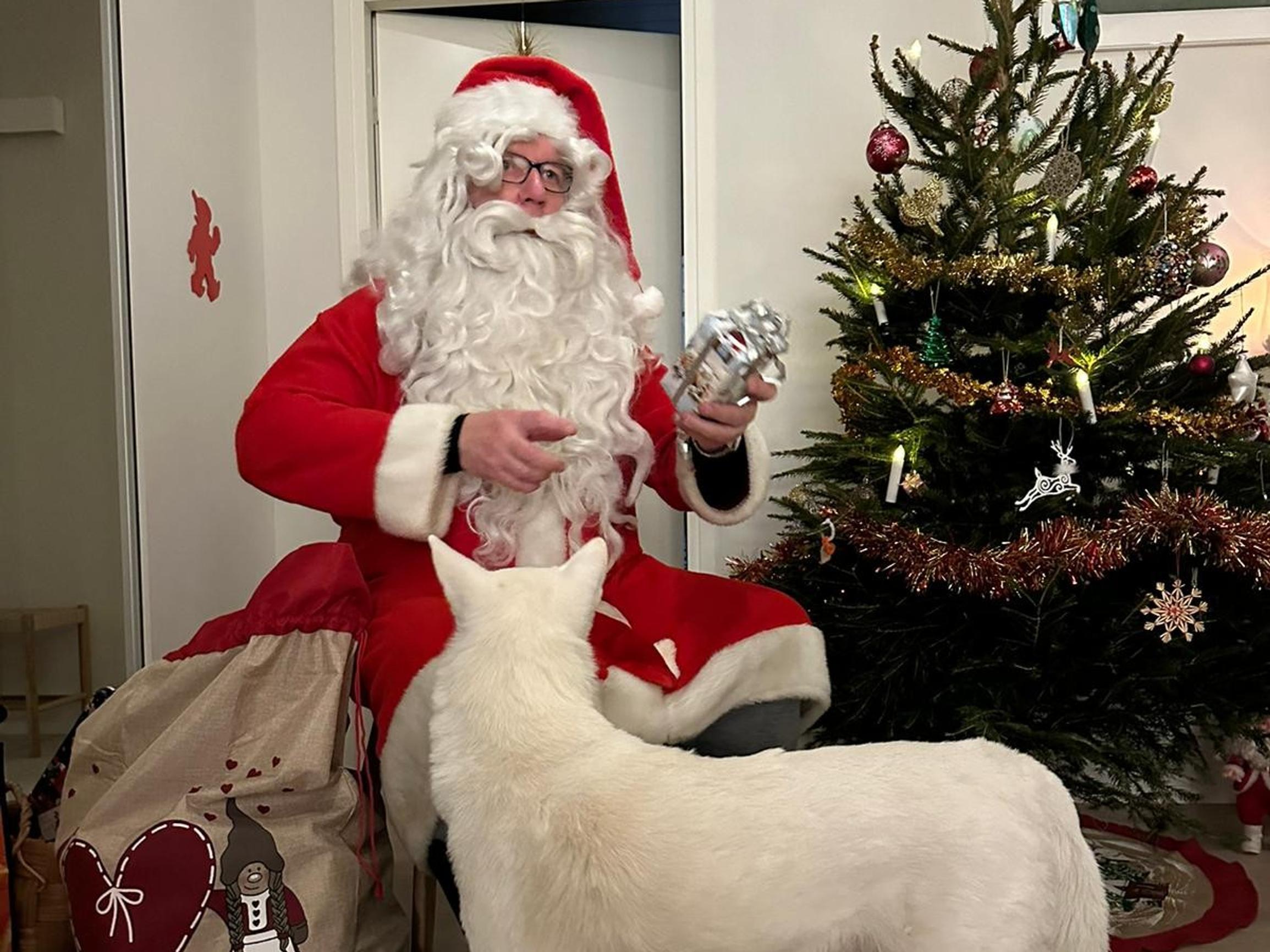 Hämeenlinnalaisen superjoulupukin Pertin, 65, apuna ovat kuski, excel-taulukko ja vuosien kokemus: ”Nakit eivät sotke pukin partaa”