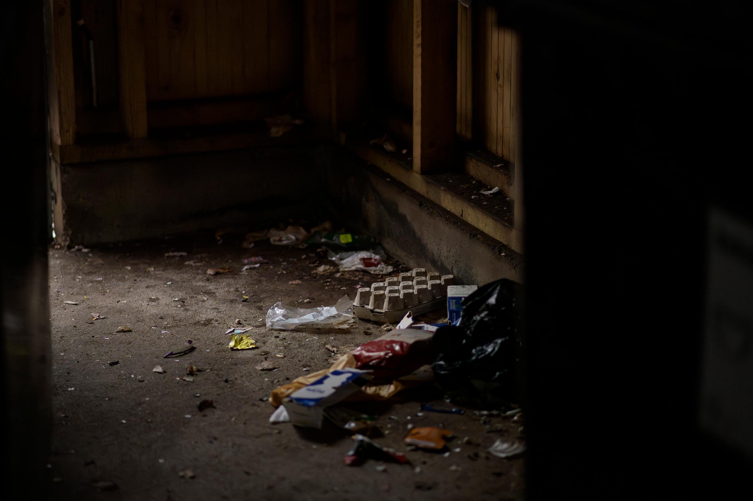 Buffetti on katettu. Rotille tällainen näkymä on kutsu ruokailemaan.