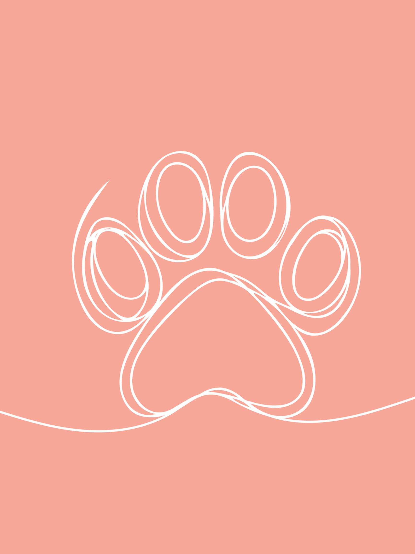 Jos eläinallergikko muuttaa asuntoon, jossa on ollut lemmikkejä, näin uusi koti täytyy siivota – allergia-asiantuntija Katariina Ijäs neuvoo