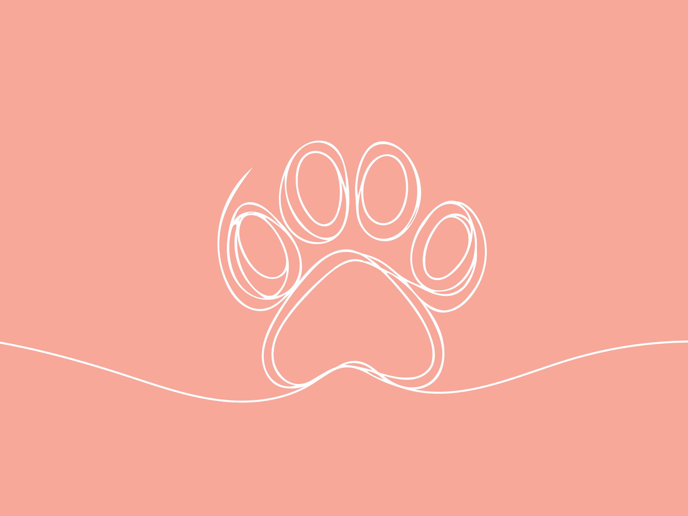 Jos eläinallergikko muuttaa asuntoon, jossa on ollut lemmikkejä, näin uusi koti täytyy siivota – allergia-asiantuntija Katariina Ijäs neuvoo