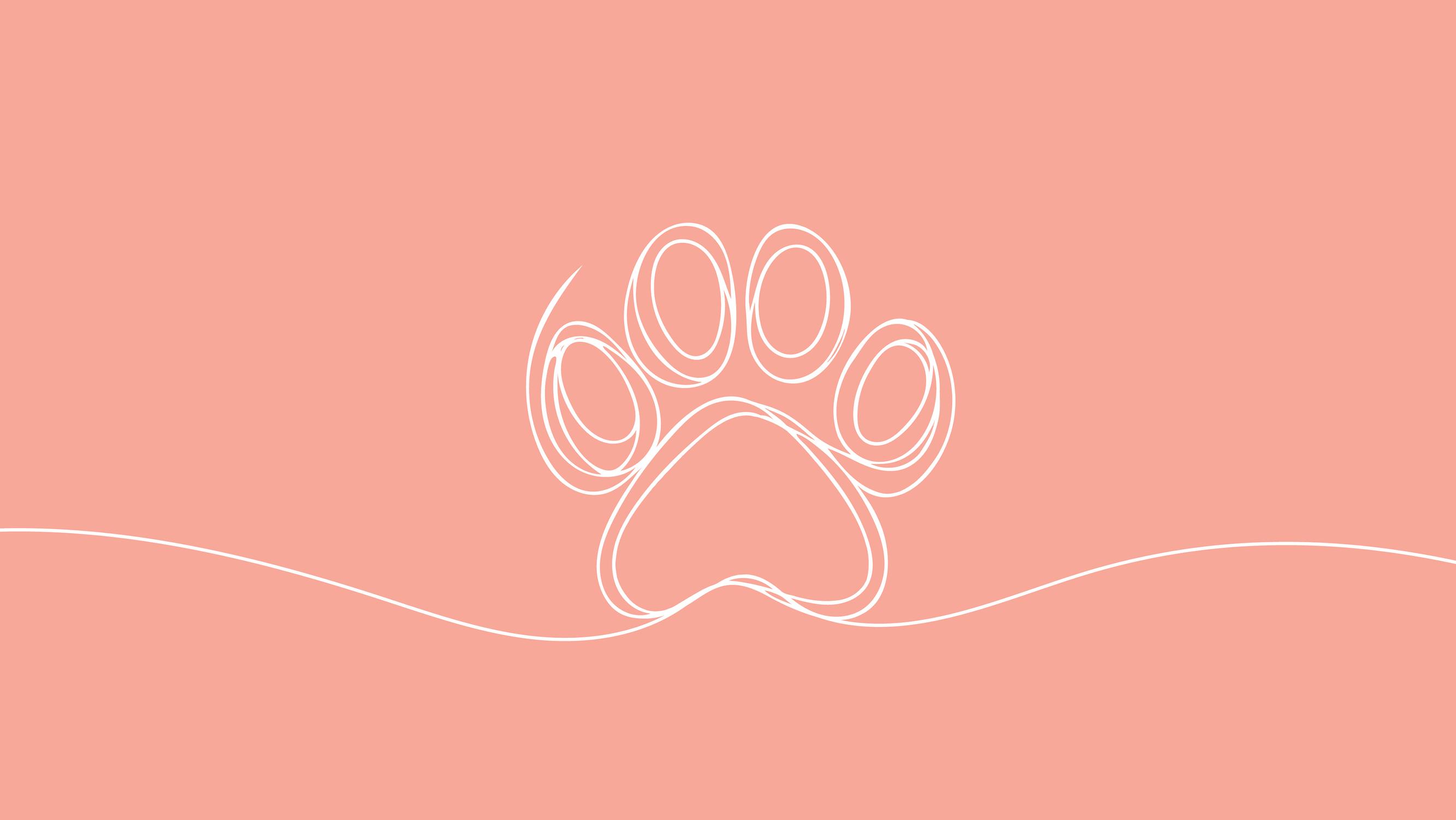 Jos eläinallergikko muuttaa asuntoon, jossa on ollut lemmikkejä, näin uusi koti täytyy siivota – allergia-asiantuntija Katariina Ijäs neuvoo