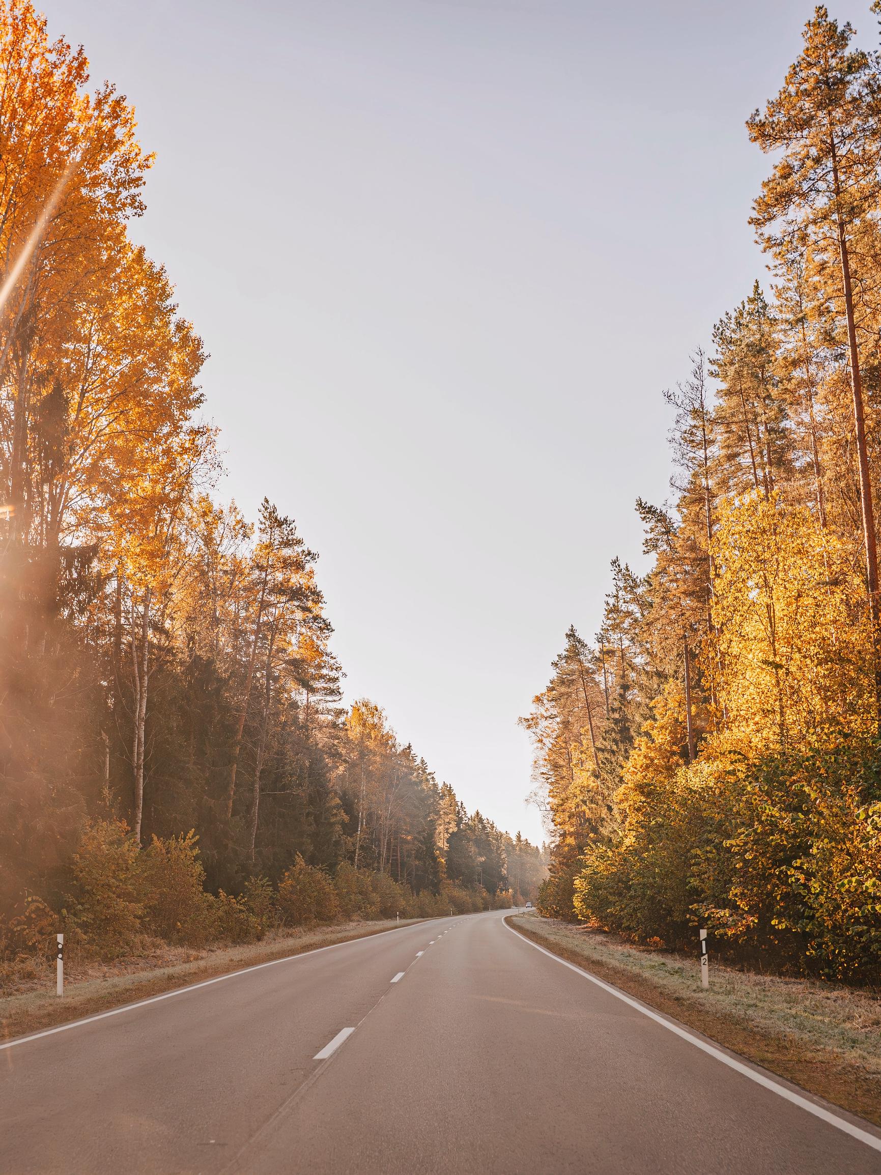 Suomalaiset aliarvioivat näköongelmien vaikutusta autolla ajamiseen –  joka kolmannella yli 60-vuotiaalla vaikeuksia nähdä hämärässä tai huonolla säällä
