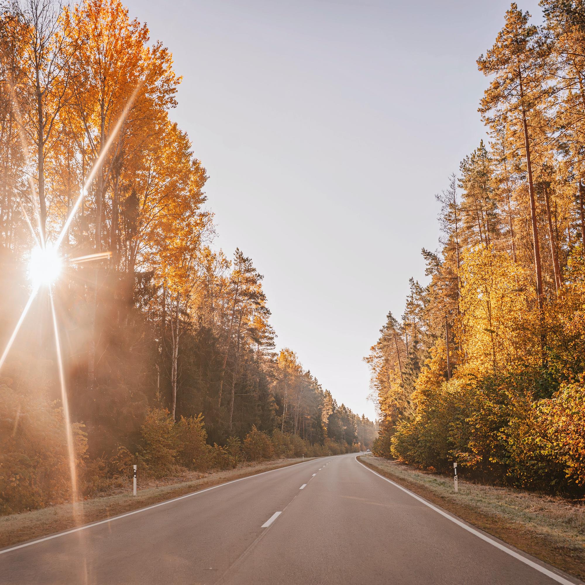 Suomalaiset aliarvioivat näköongelmien vaikutusta autolla ajamiseen – joka kolmannella yli 60-vuotiaalla vaikeuksia nähdä hämärässä tai huonolla säällä