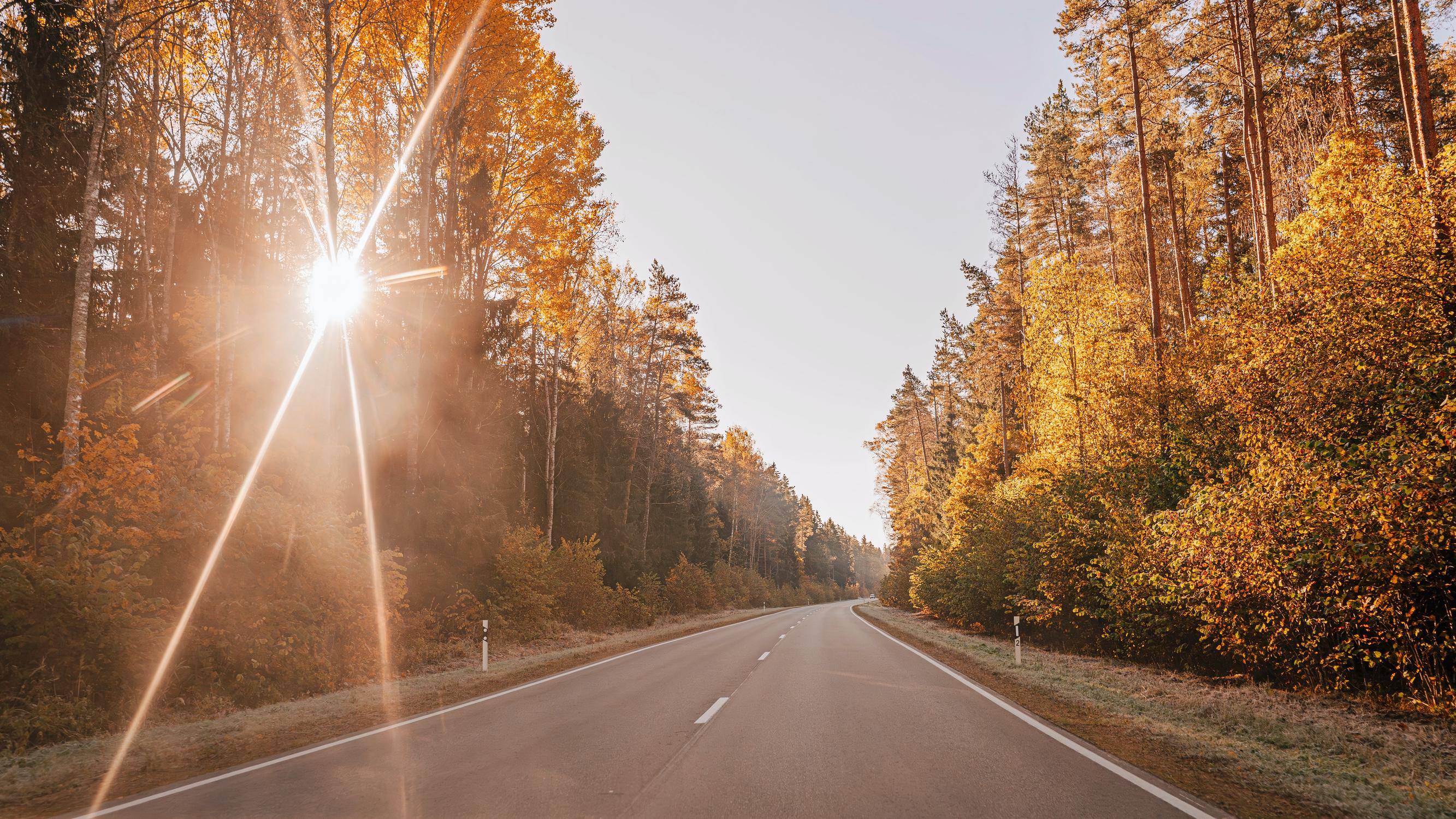 Suomalaiset aliarvioivat näköongelmien vaikutusta autolla ajamiseen –  joka kolmannella yli 60-vuotiaalla vaikeuksia nähdä hämärässä tai huonolla säällä