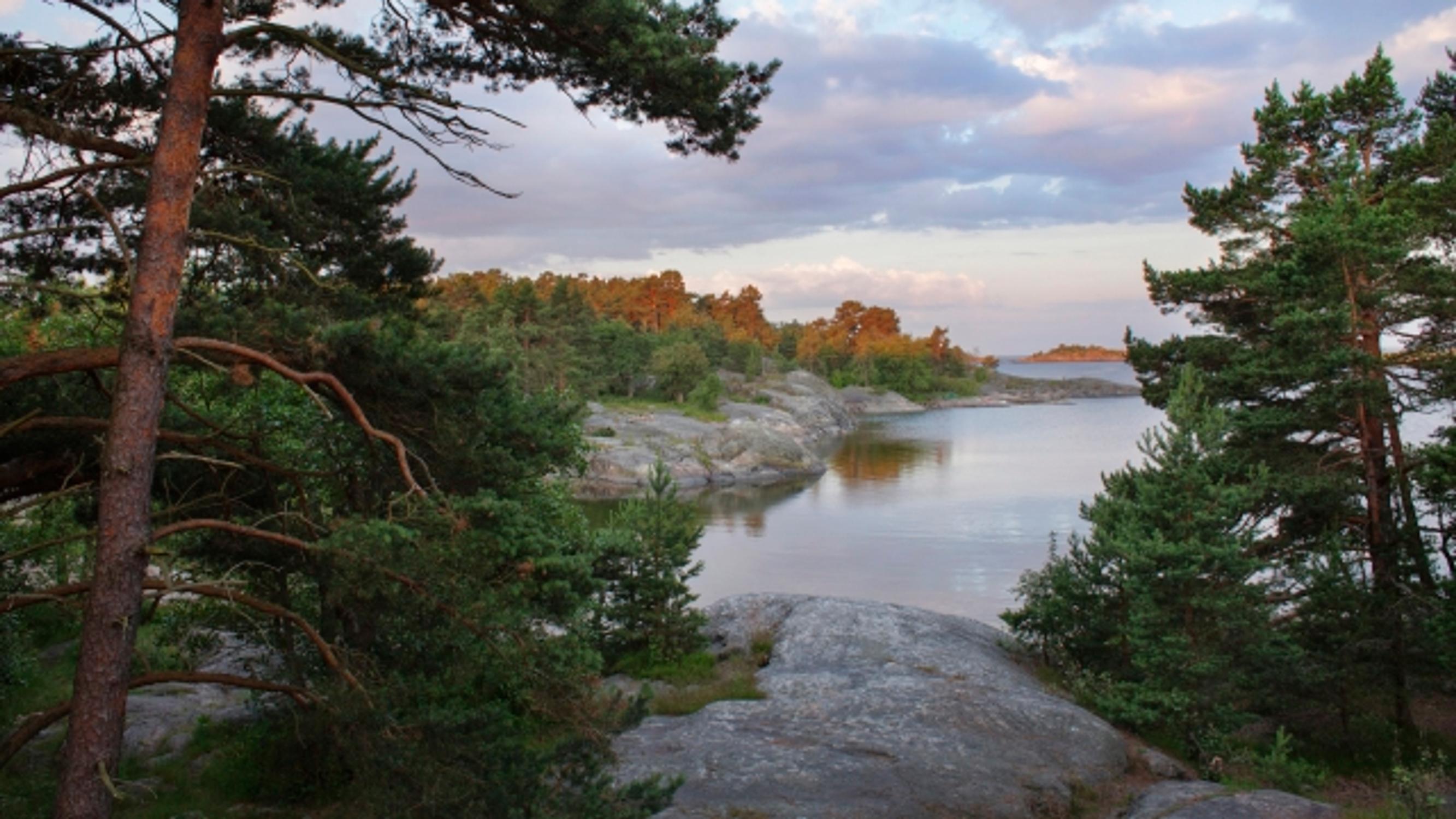 Retki merelle kesäyössä