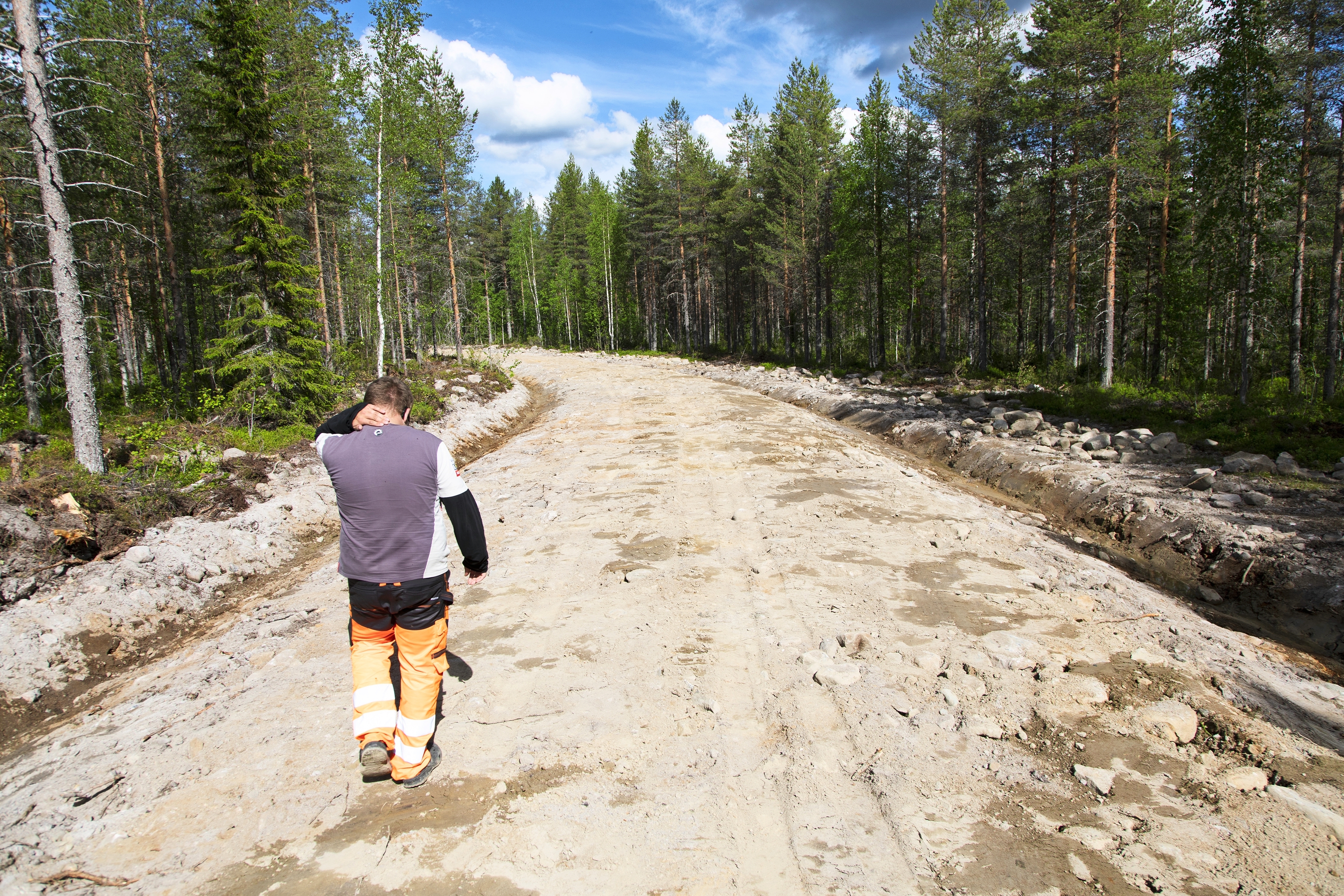 Suomen metsät on pilkottu metsäautoteillä – keräävät kritiikkiä | Apu