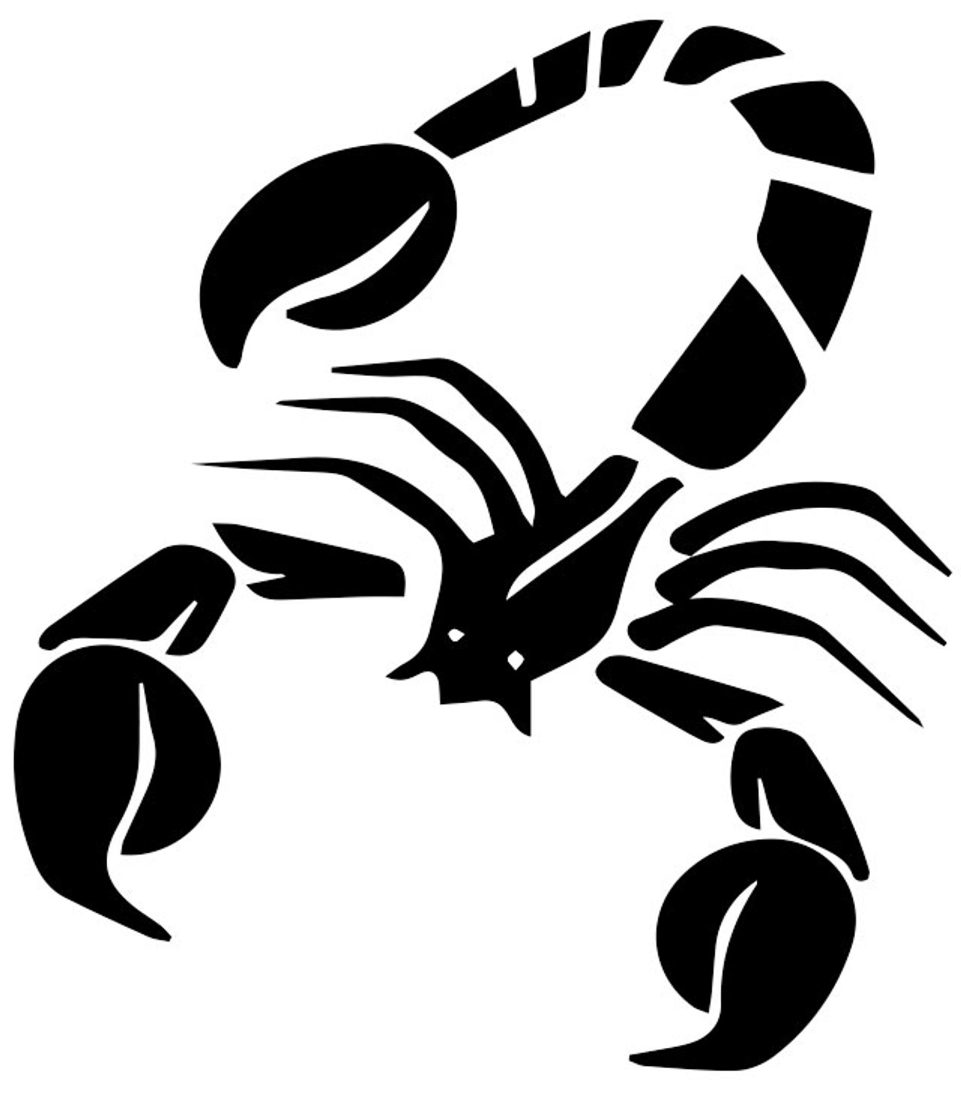 Vuosihoroskooppi: Skorpioni 23.10.–21.11.