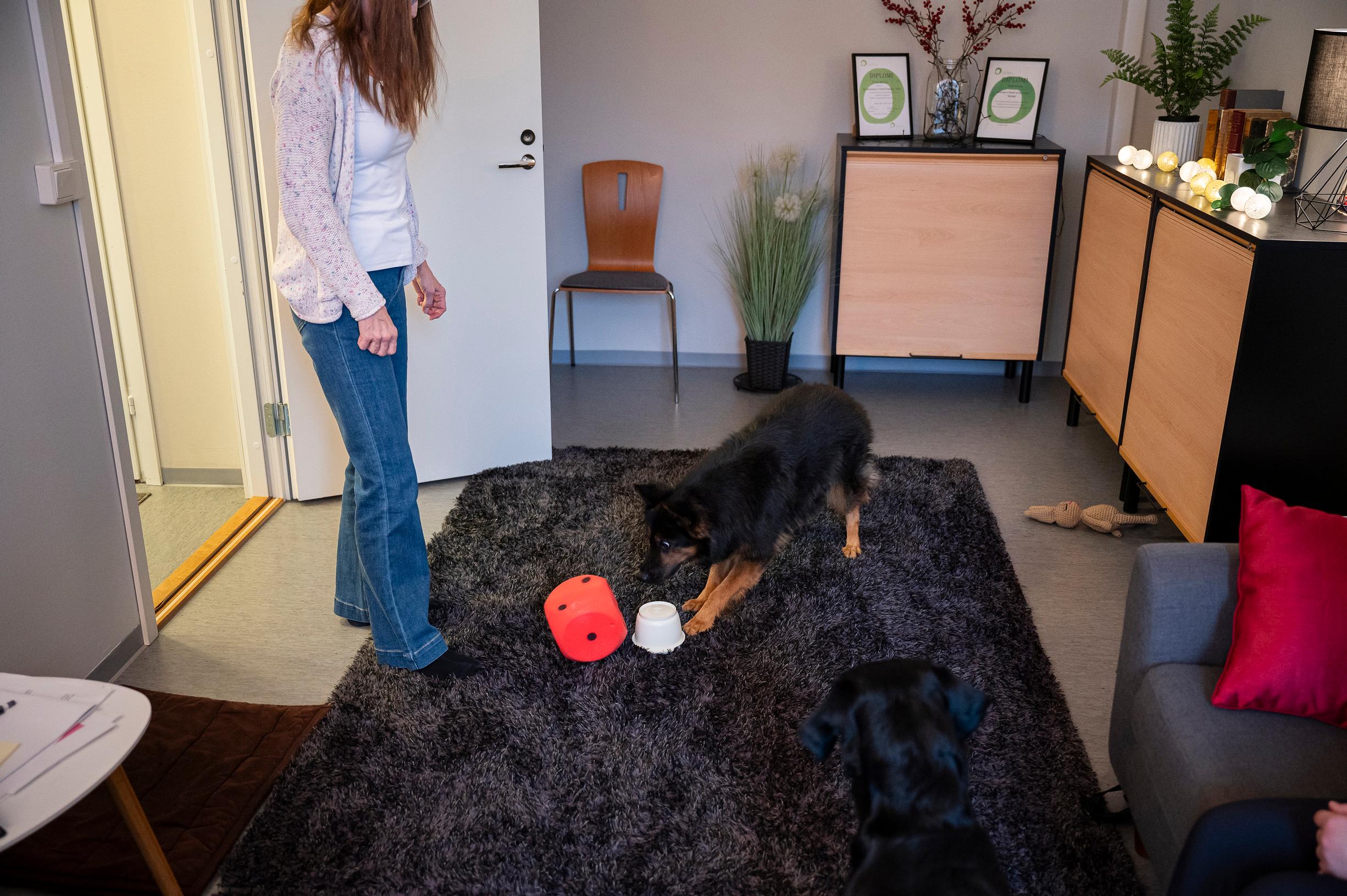 Koira on terapian apu yhä useammin. Eläimet ovat kuuluneet Paula Kerolan elämään lapsuudesta lähtien. Hän on kilpaillut hevosilla koulu- ja esteratsastuksessa sekä koirien kanssa eri palveluskoiralajeissa.