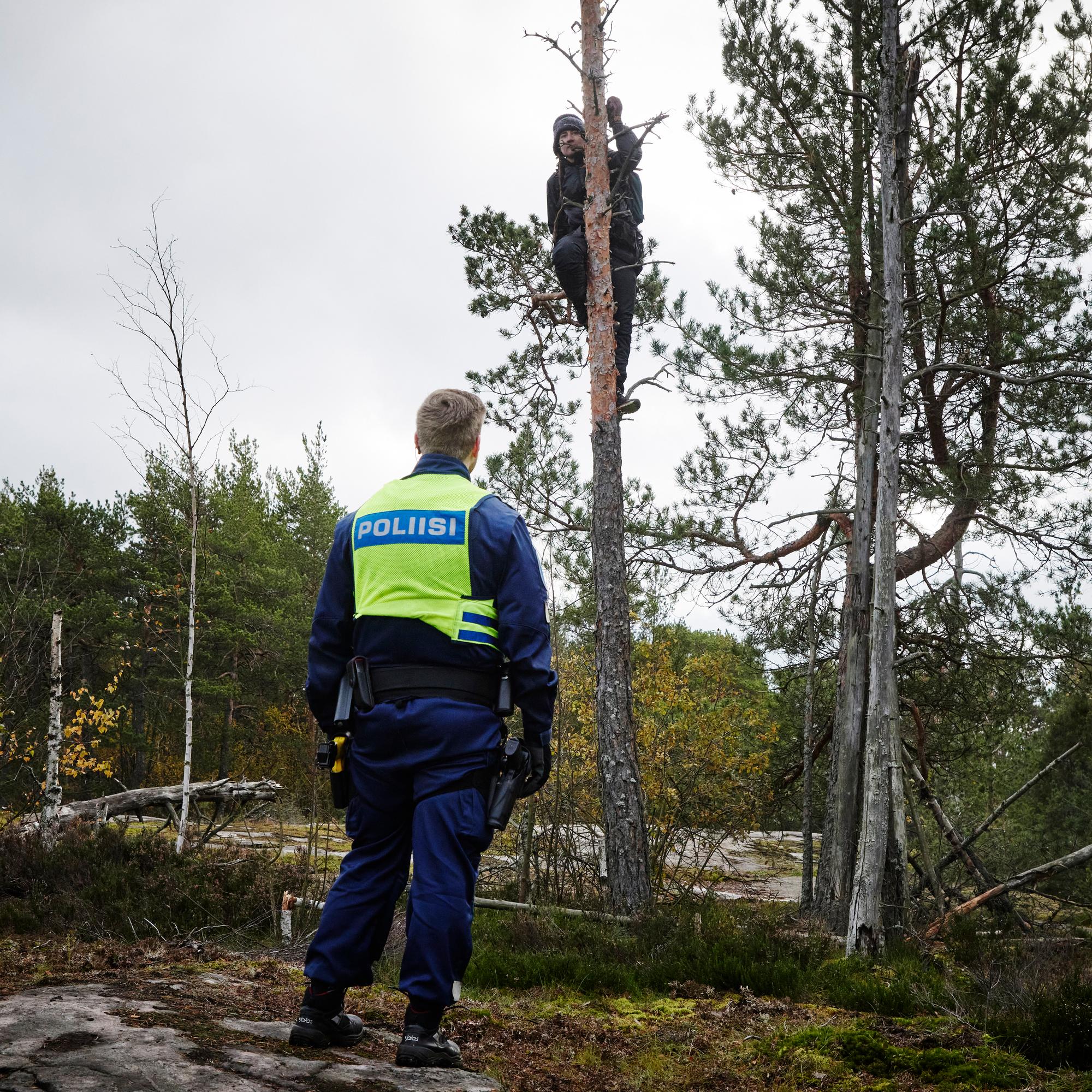 Pienen aarniometsän puolustajat taistelevat joka puusta – Tämän vuoksi metsäsotia käydään nyt muutaman kilometrin päässä Helsingin keskustasta
