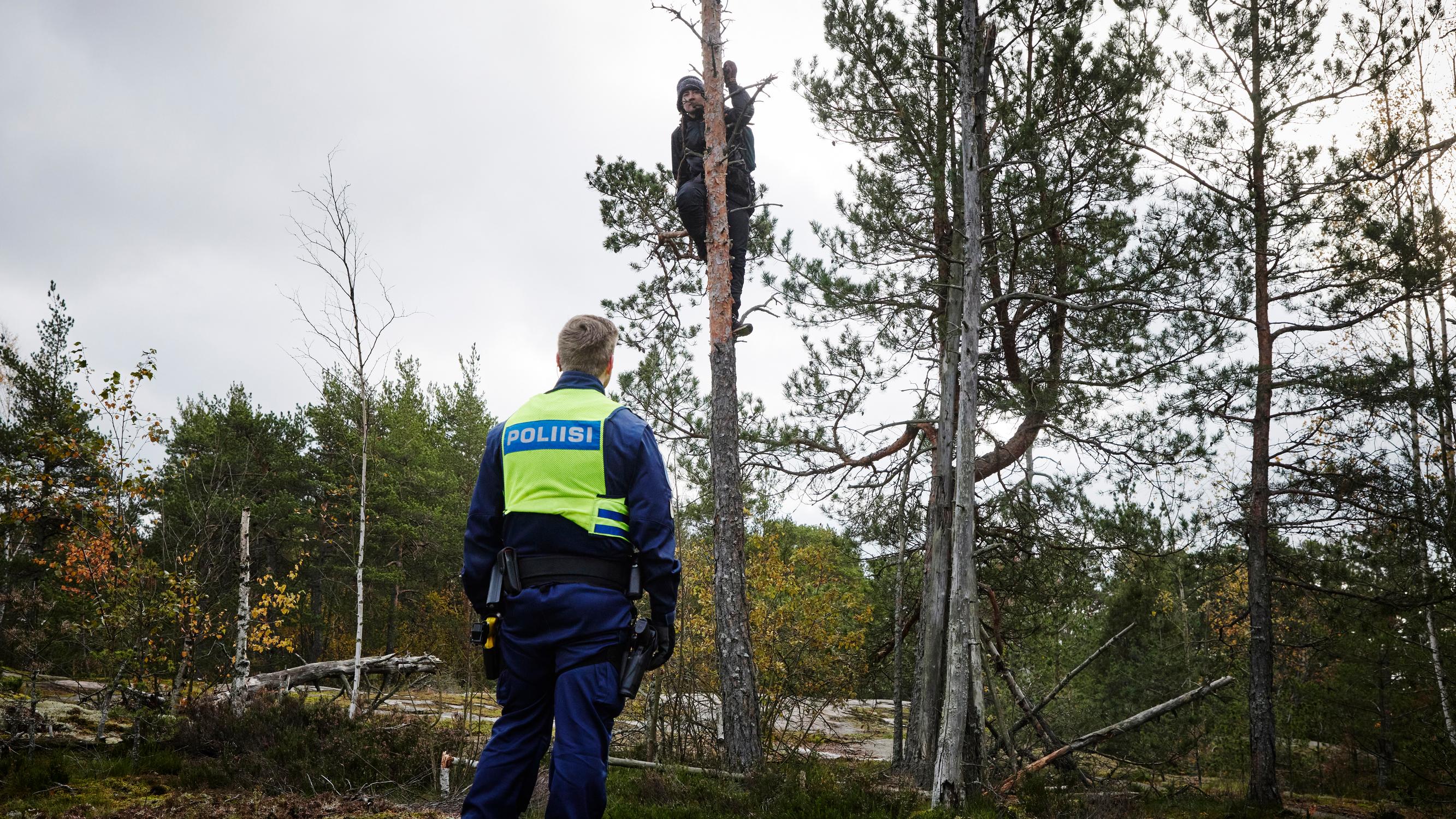 Pienen aarniometsän puolustajat taistelevat joka puusta – Tämän vuoksi metsäsotia käydään nyt muutaman kilometrin päässä Helsingin keskustasta