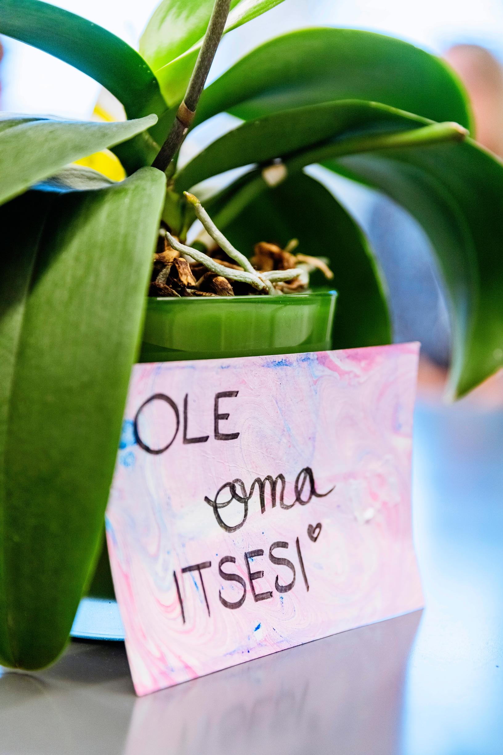 Nicehearts Tyttöjen Tila.