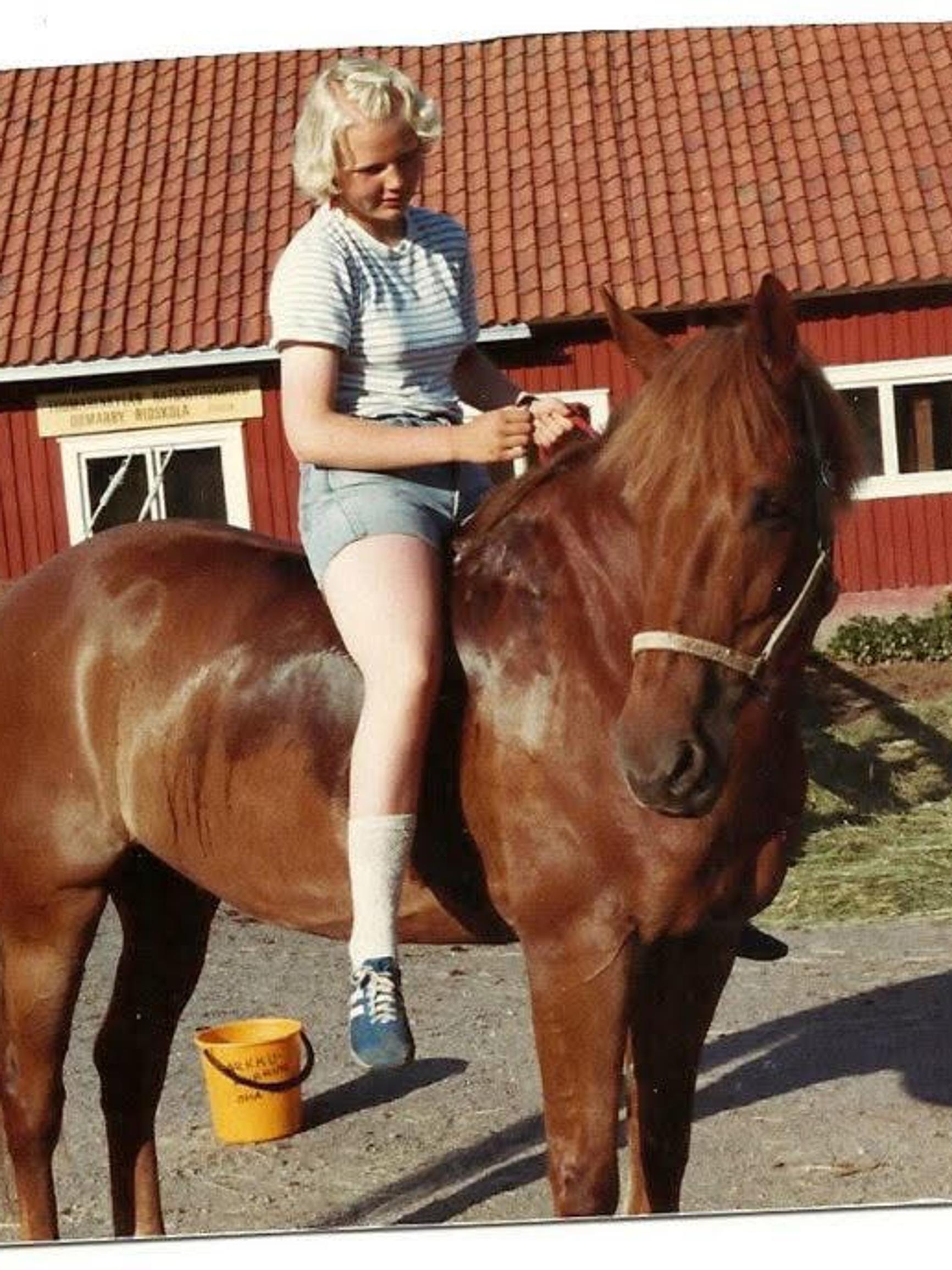 Punaparta kiusoitteli lapsia pilkettä silmäkulmassa, mutta oli läheisilleen kultaisen taitava opetushevonen – ”Valloitti heppatytön sydämeni täysin”