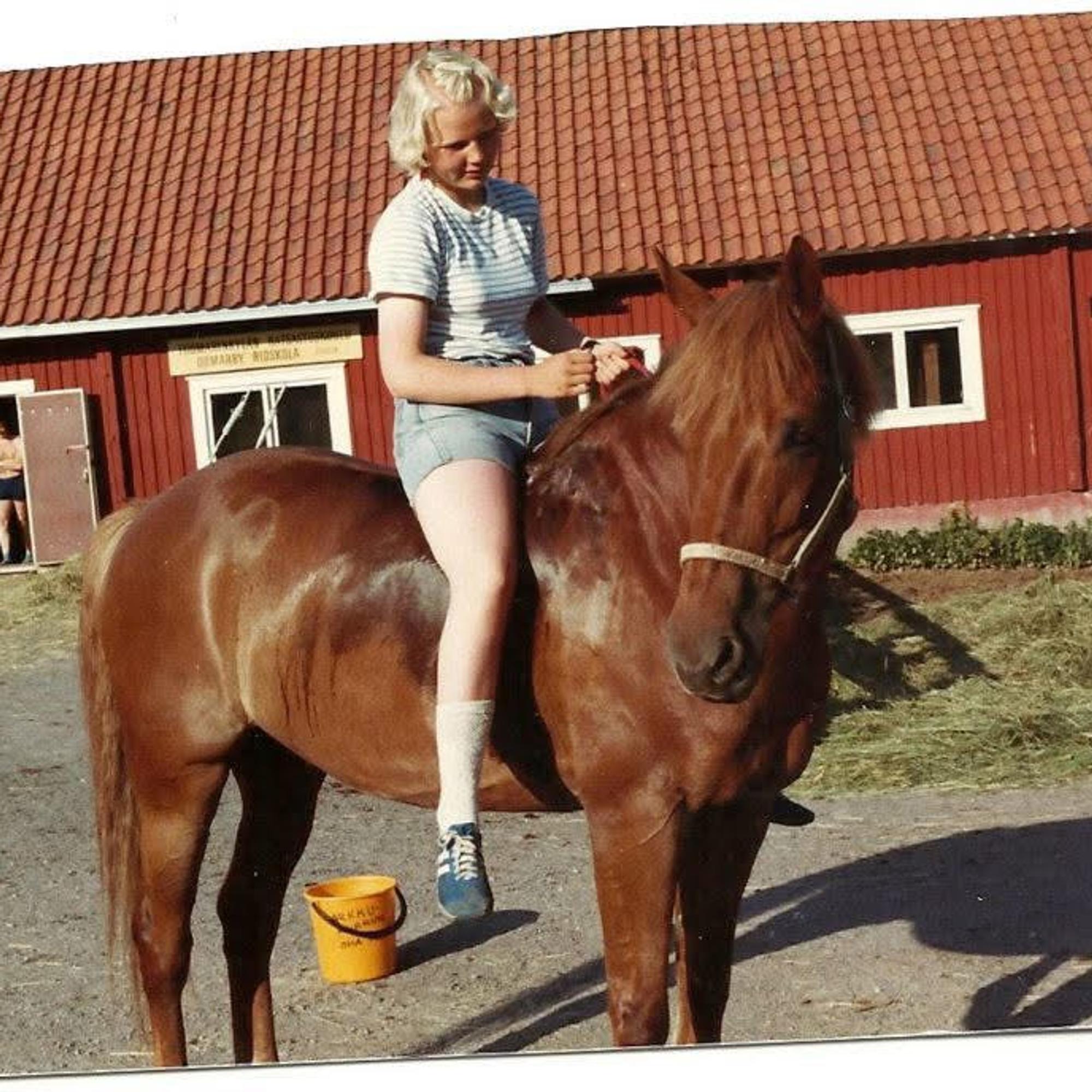 Punaparta kiusoitteli lapsia pilkettä silmäkulmassa, mutta oli läheisilleen kultaisen taitava opetushevonen – ”Valloitti heppatytön sydämeni täysin”