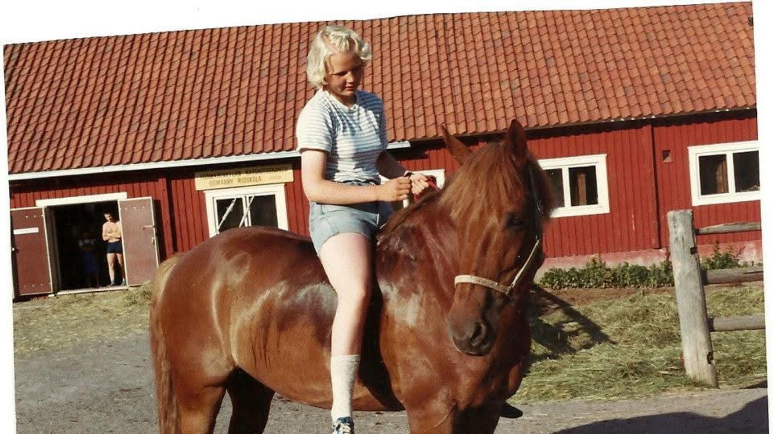 Punaparta kiusoitteli lapsia pilkettä silmäkulmassa, mutta oli läheisilleen kultaisen taitava opetushevonen – ”Valloitti heppatytön sydämeni täysin”