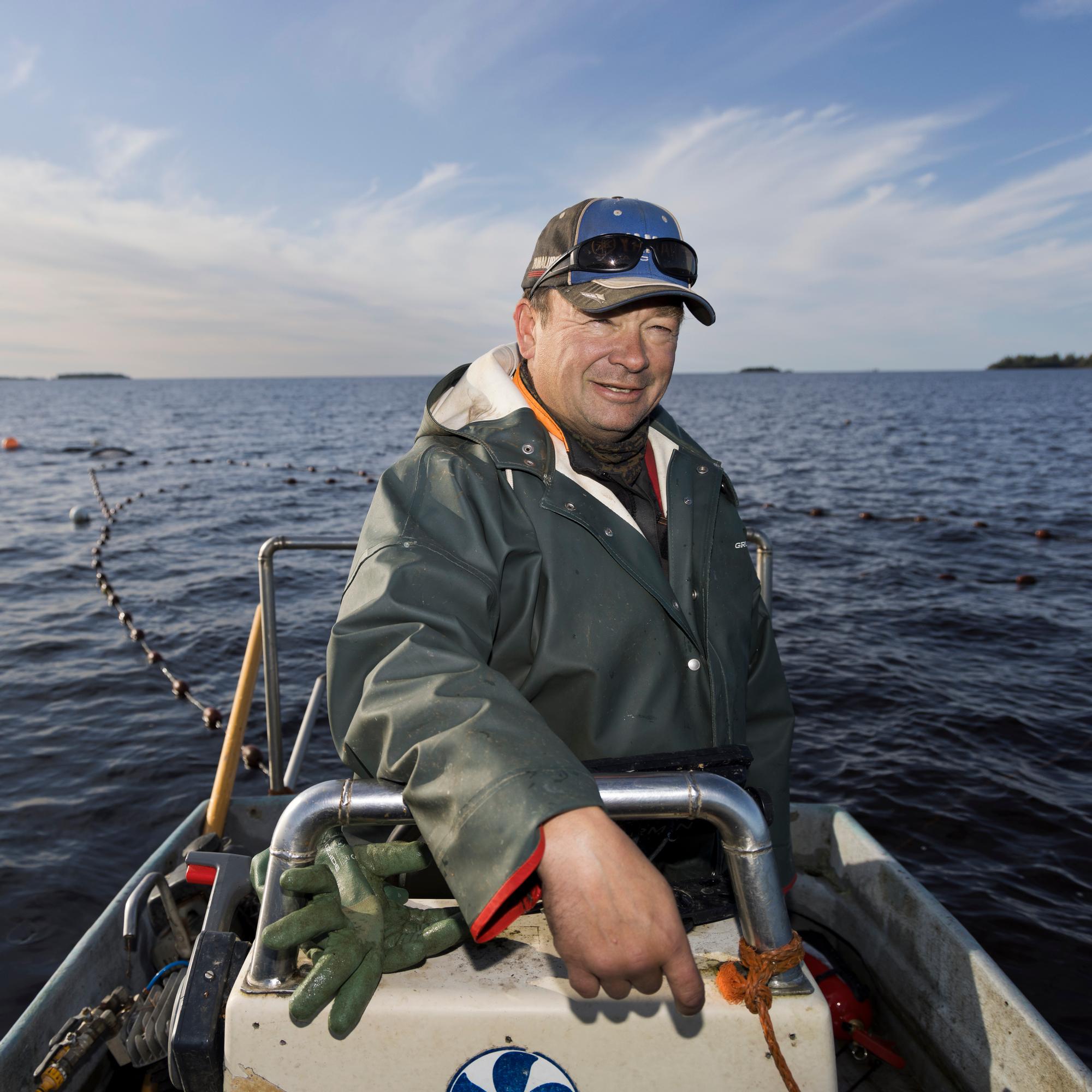Tässä on kalastaja Markku Sotisaaren viimeinen toivo – Paisunut hyljekanta uhkaa lopettaa Perämeren rannikkokalastuksen