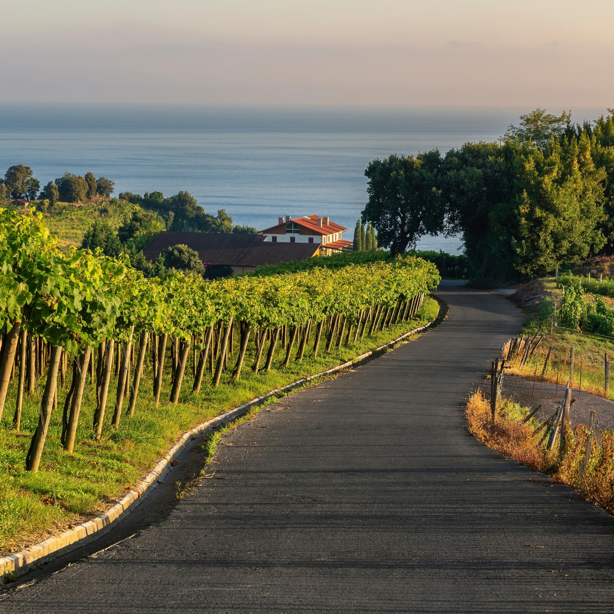 Baskimaa autolla – Unohtumaton road trip Baskimaan rannikoilla ja vuoristossa on kokeneiden automatkailijoiden tarkkaan varjelema salaisuus