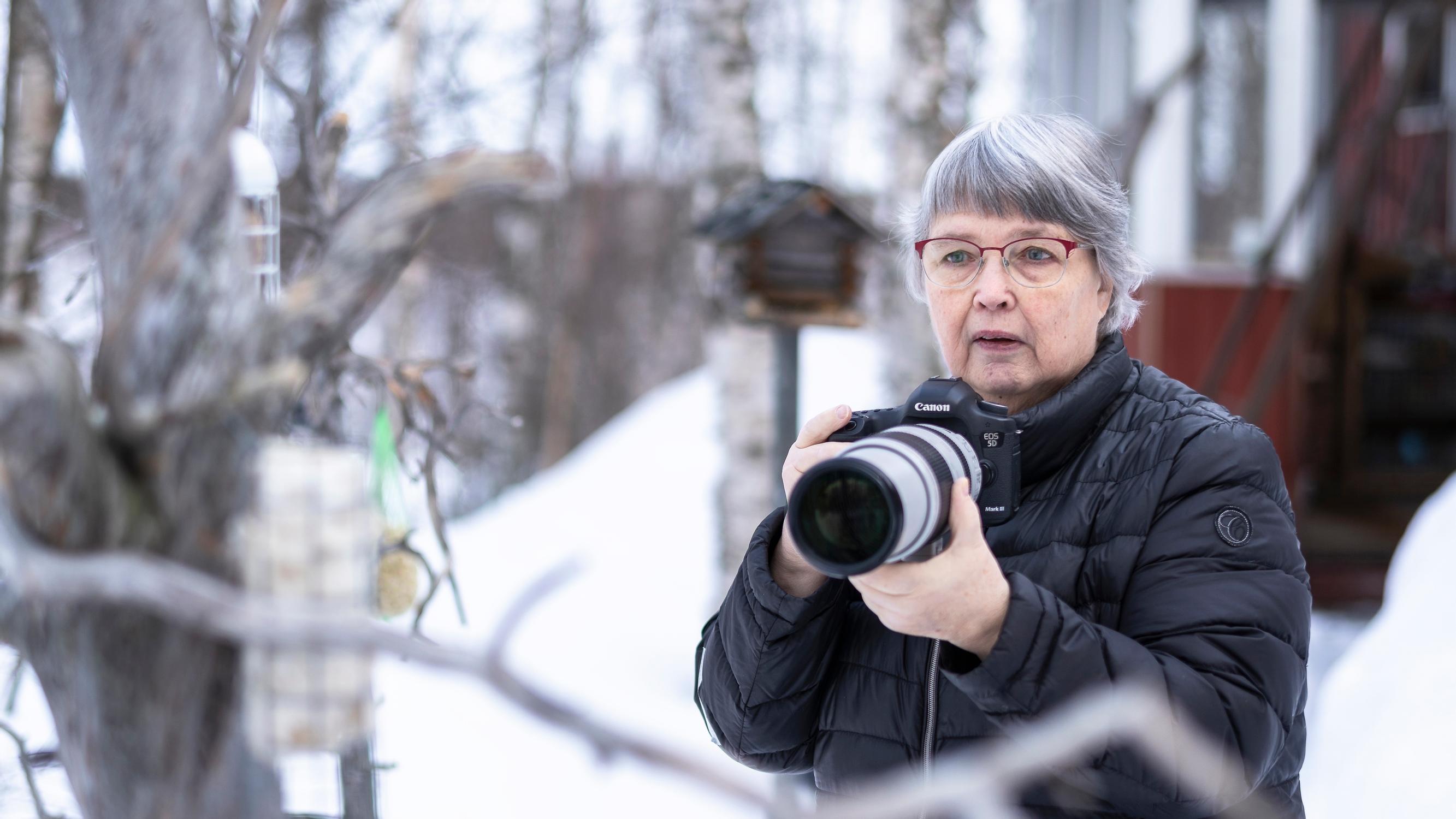 Eläkkeellä oleva ivalolainen Anja löysi lintuharrastuksen – Suhde luontoon uusiksi: ”En olisi vuosia sitten uskonut ilahtuvani nähdessäni myyrän”