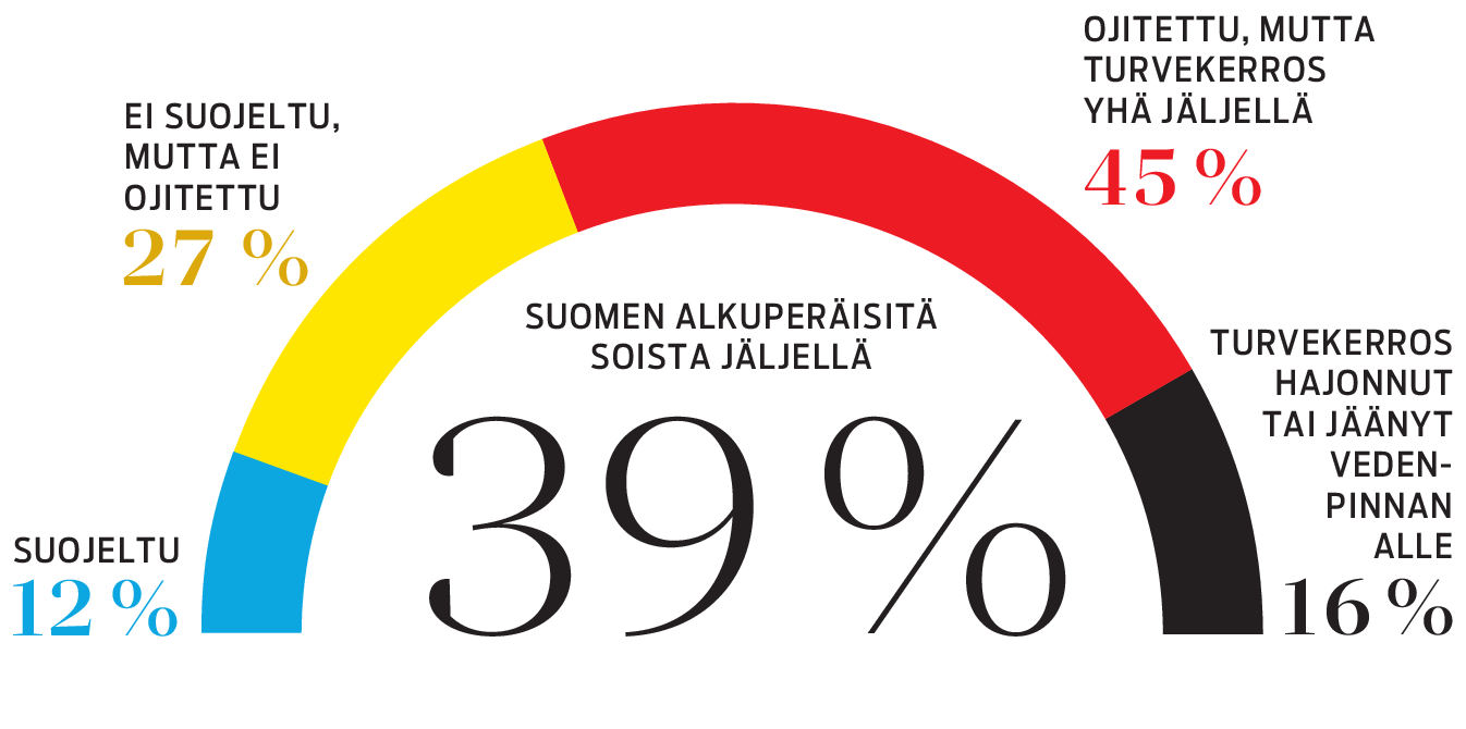 Suot Suomessa: Tila heikkenee syy ojitus | Seuraukset vakavat | Apu