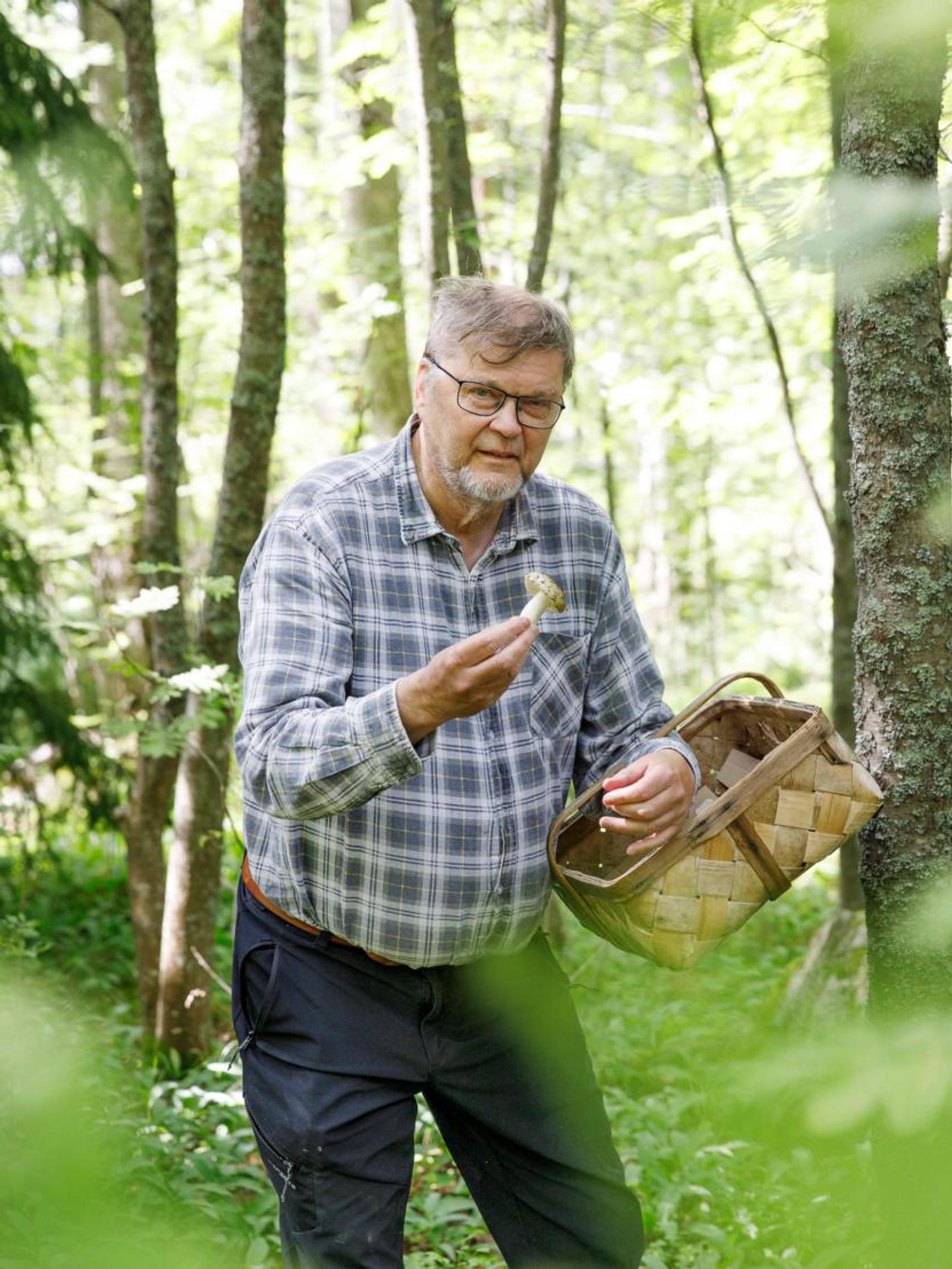 Sieniguru paljastaa parhaat sienipaikat ja vähemmän tunnetut sieniherkut