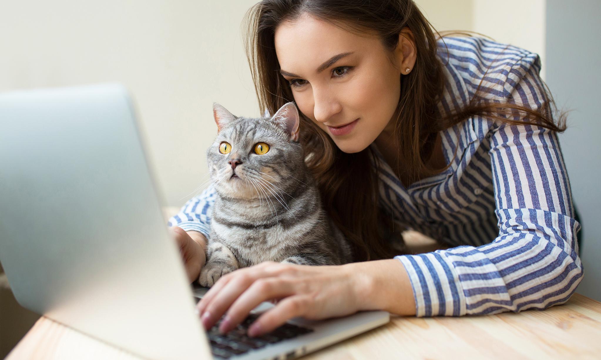 Miksi kissa lipoo huuliaan tai istuu sanomalehden päälle? | Apu