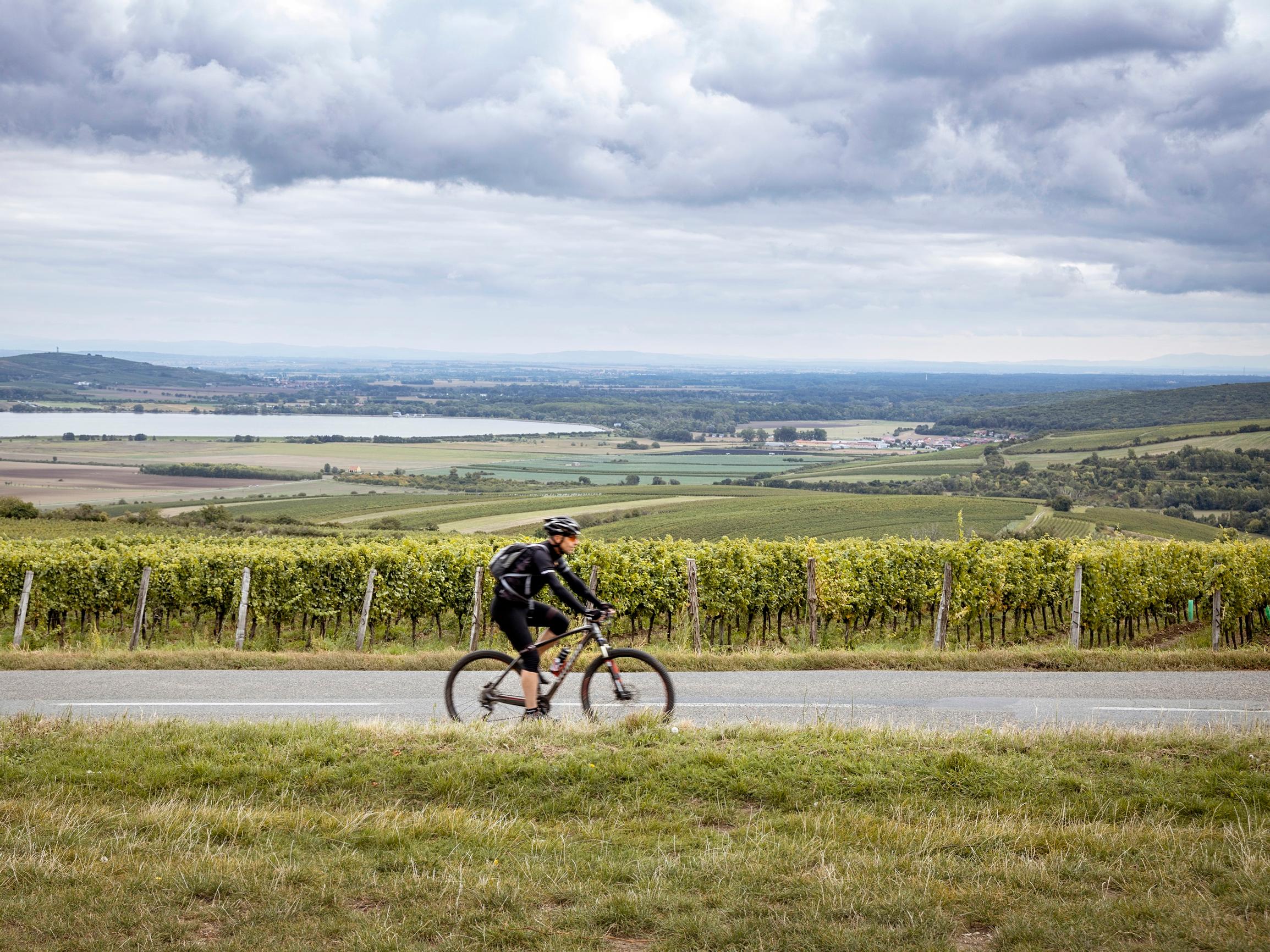 Pyöräseikkailu Tšekin Rautaesiripun reitillä: historiallisia kylpylöitä, kansallispuistoja, linnoja ja viininmaistelua