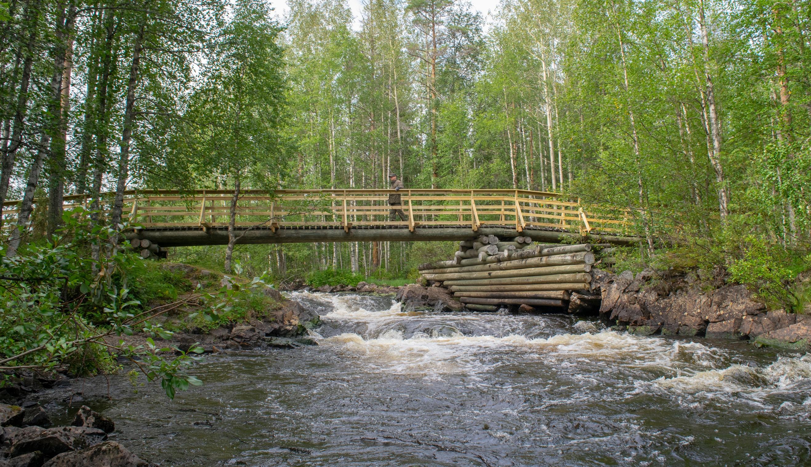 Kansallispuistoille 2020 oli huippuvuosi, vaikka ulkomaiset turistit katosivat – Pandemia patisti suomalaiset kotimaankohteisiin 