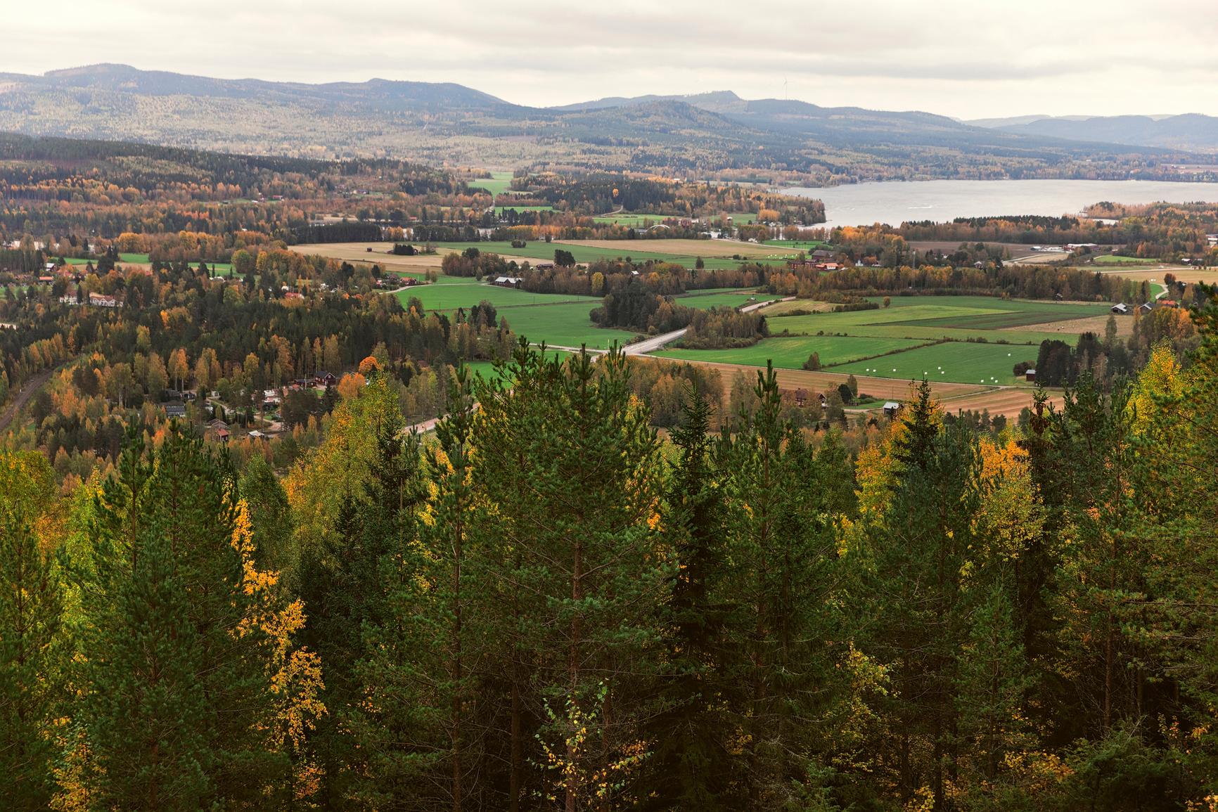 Gävleborg on Ruotsin lomalöytö | Mondo