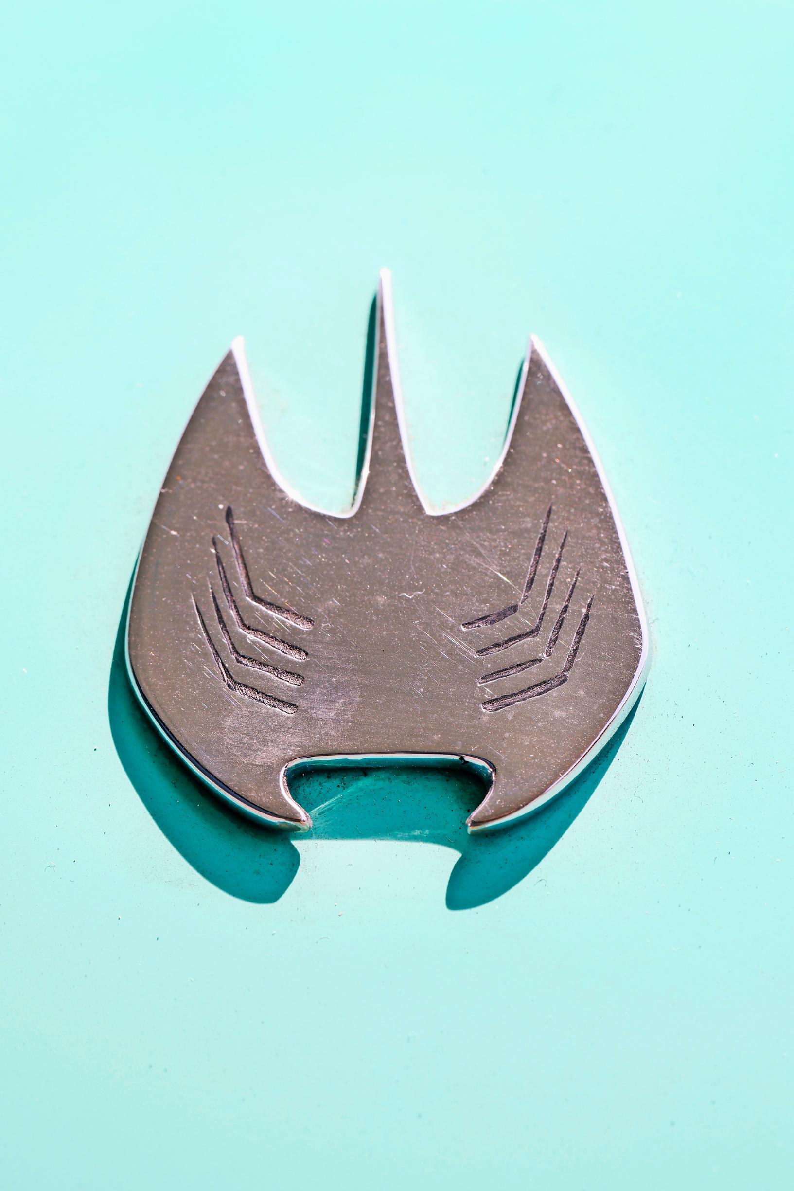 Manta eli rausku. GM esitteli Manta Ray -konseptin vuotta myöhemmin.