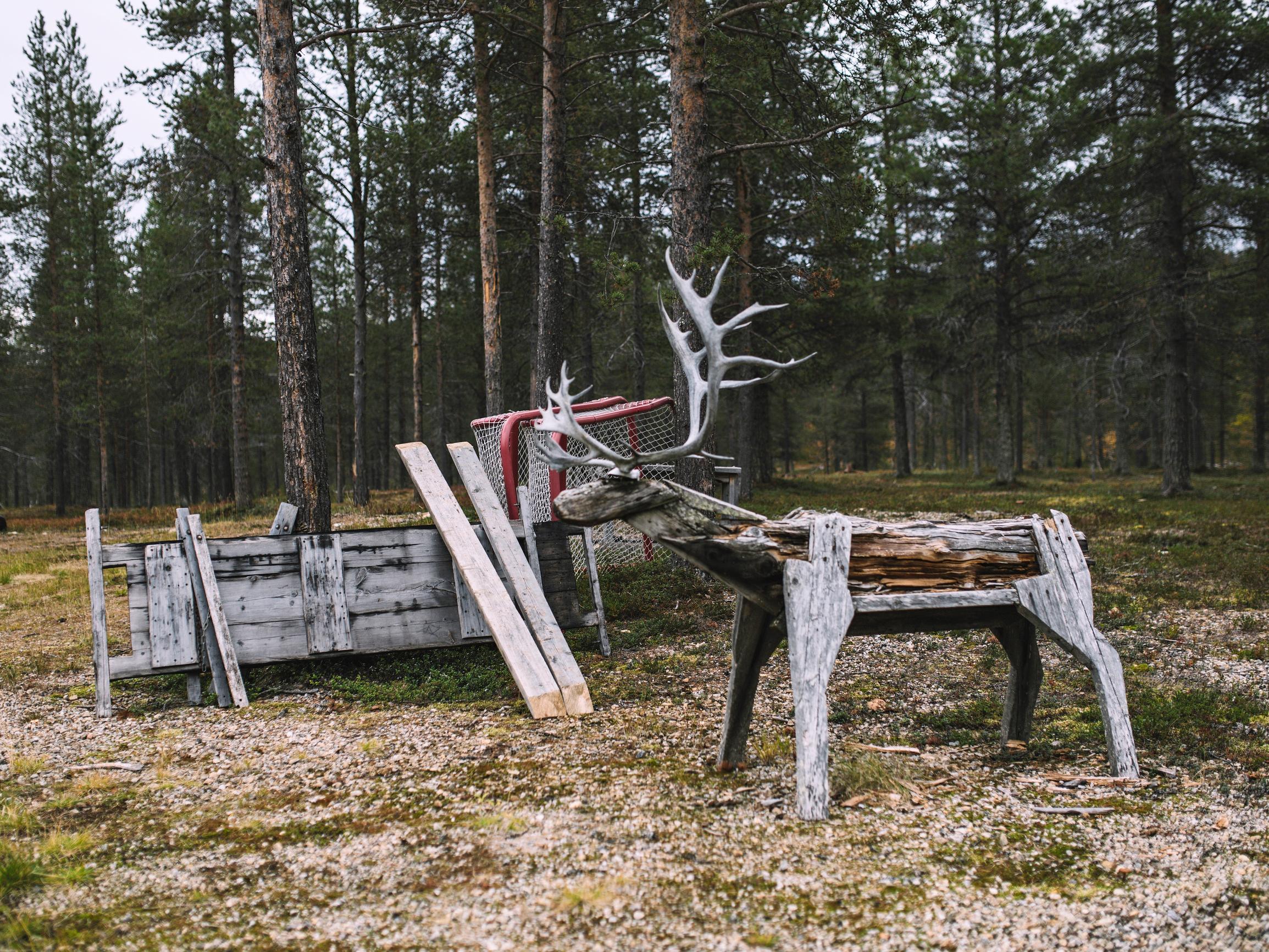 Saamelaisalueilla kahden katastrofin katovuosi – Talvi tappoi porot ja pandemia viimeisteli ahdingon